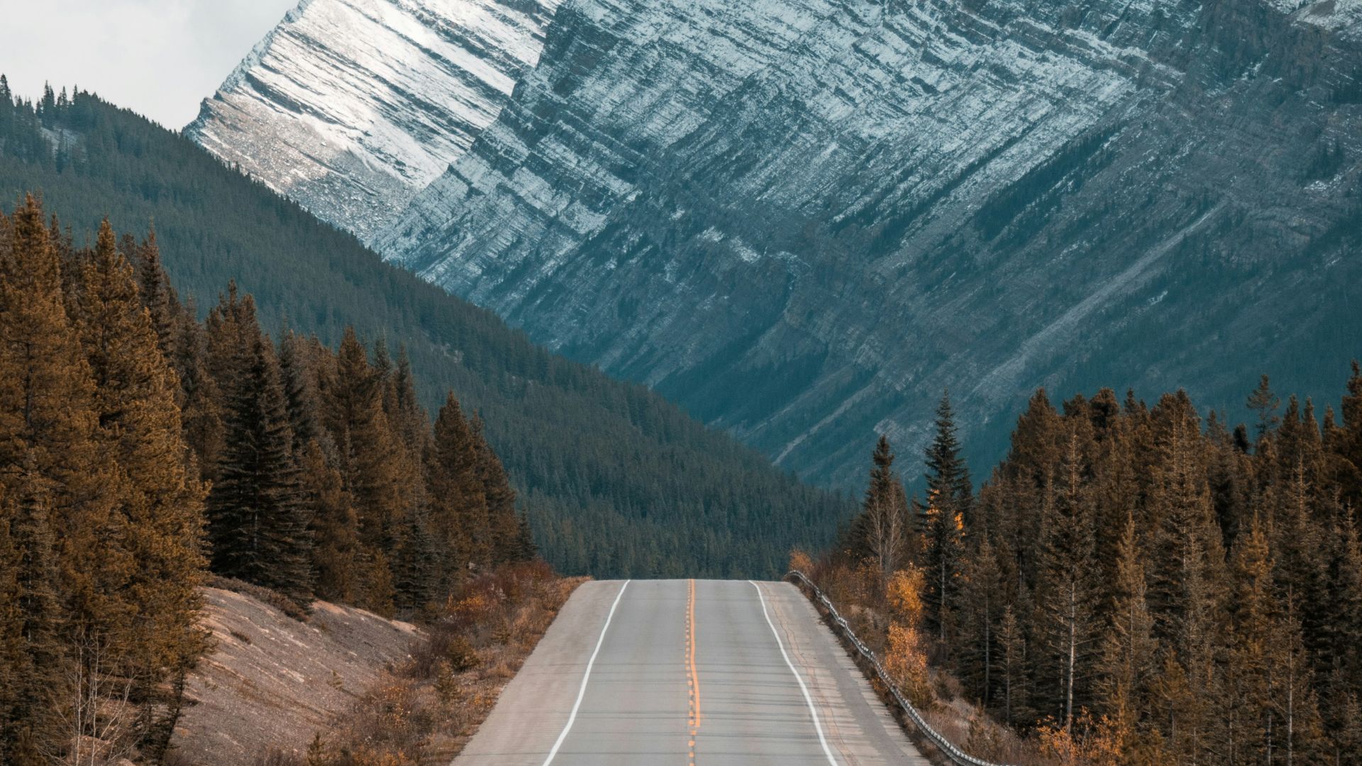 gray concrete road between trees near mountain