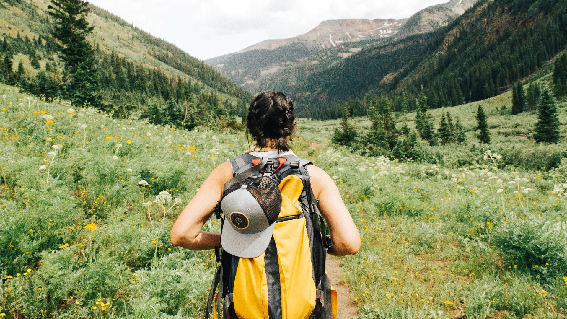 person carrying yellow and black backpack walking between green plants