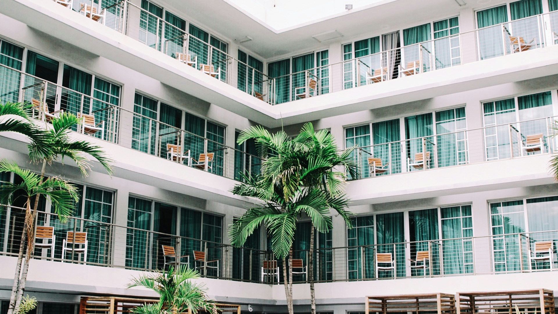 coconut palm trees in hotel lobby