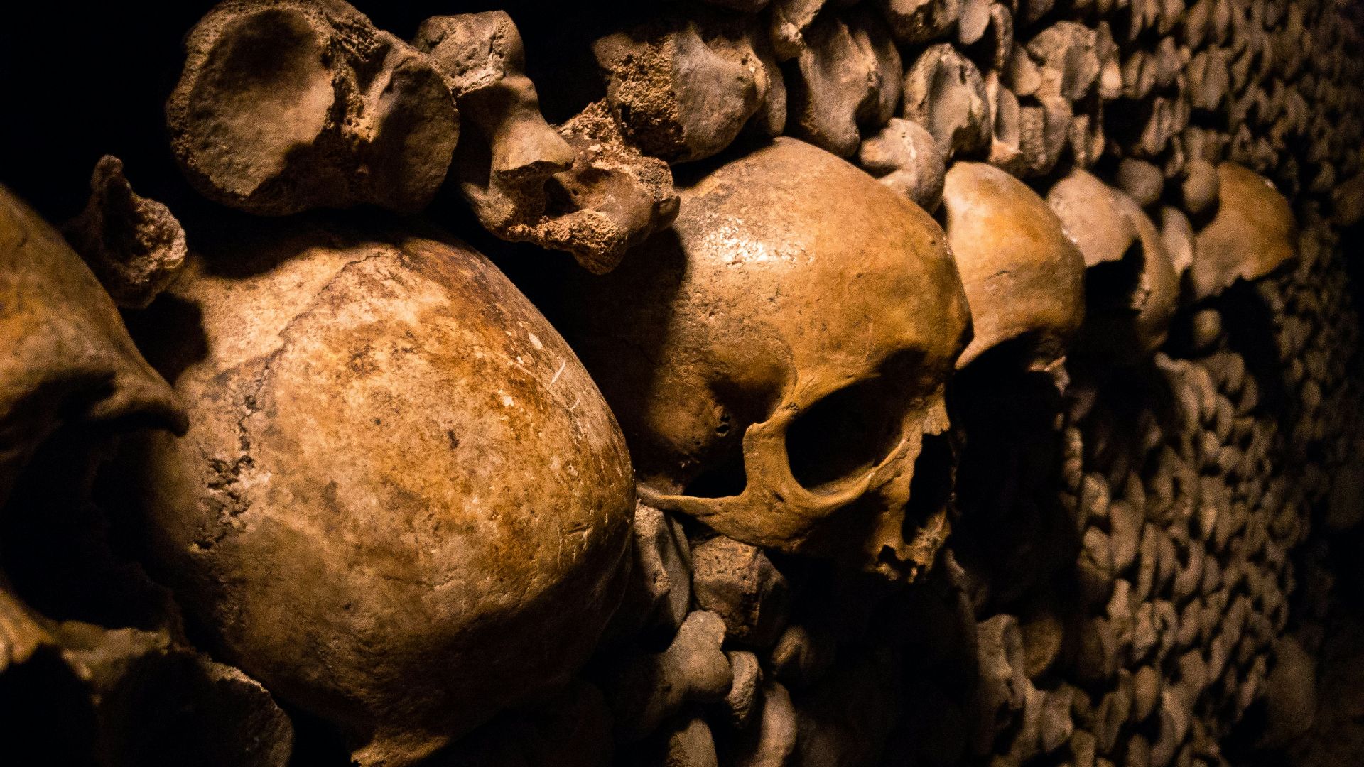 skeleton skulls