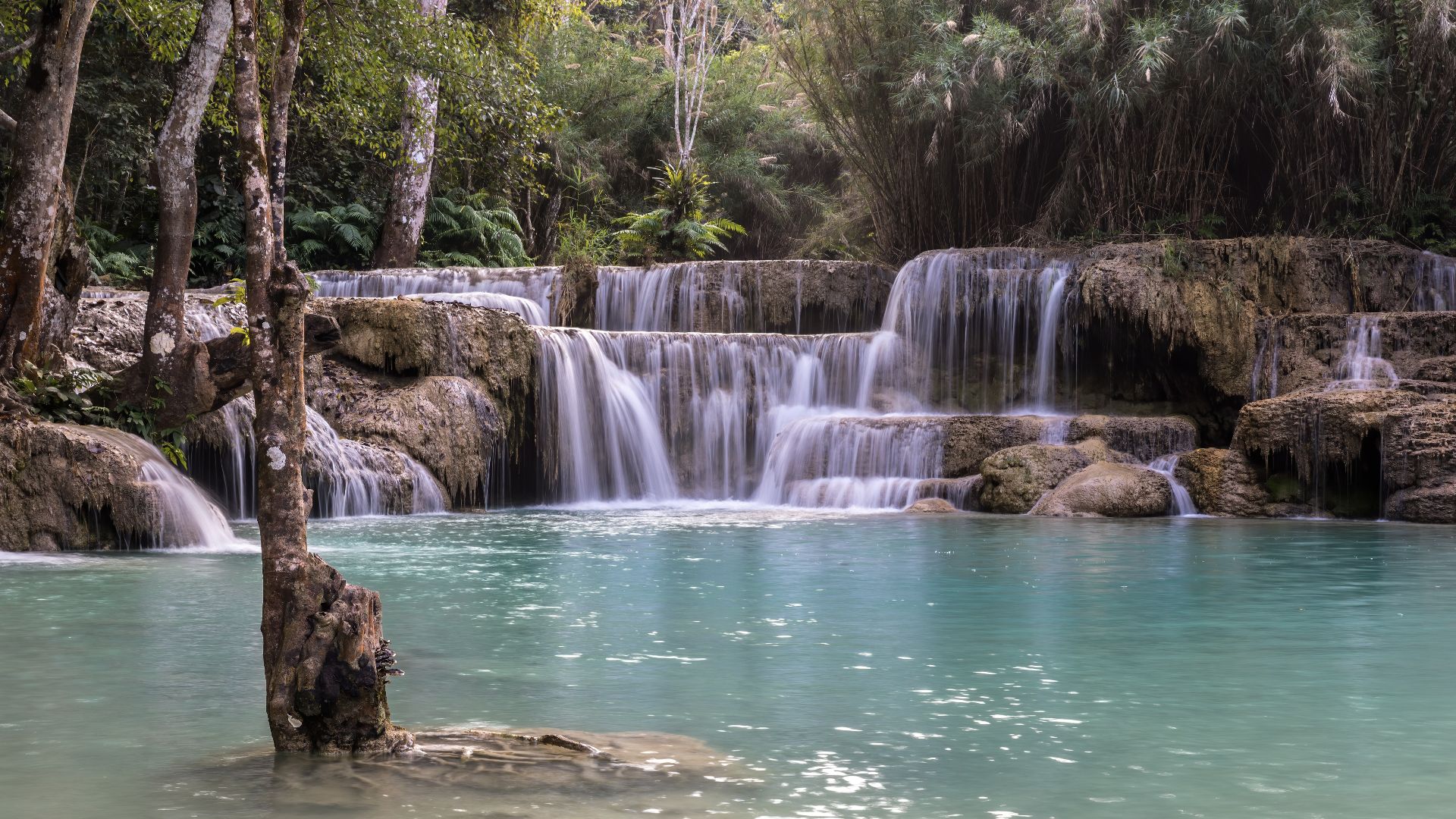 File:Kuang Si Falls with submerged tree in turquoise water near Luang Prabang Laos.jpg