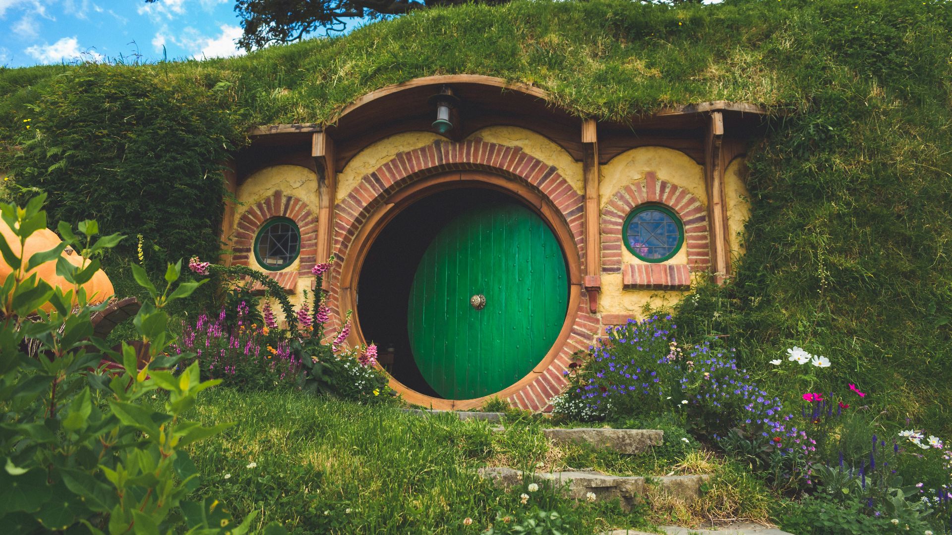 green and brown tunnel surrounded by green trees during daytime