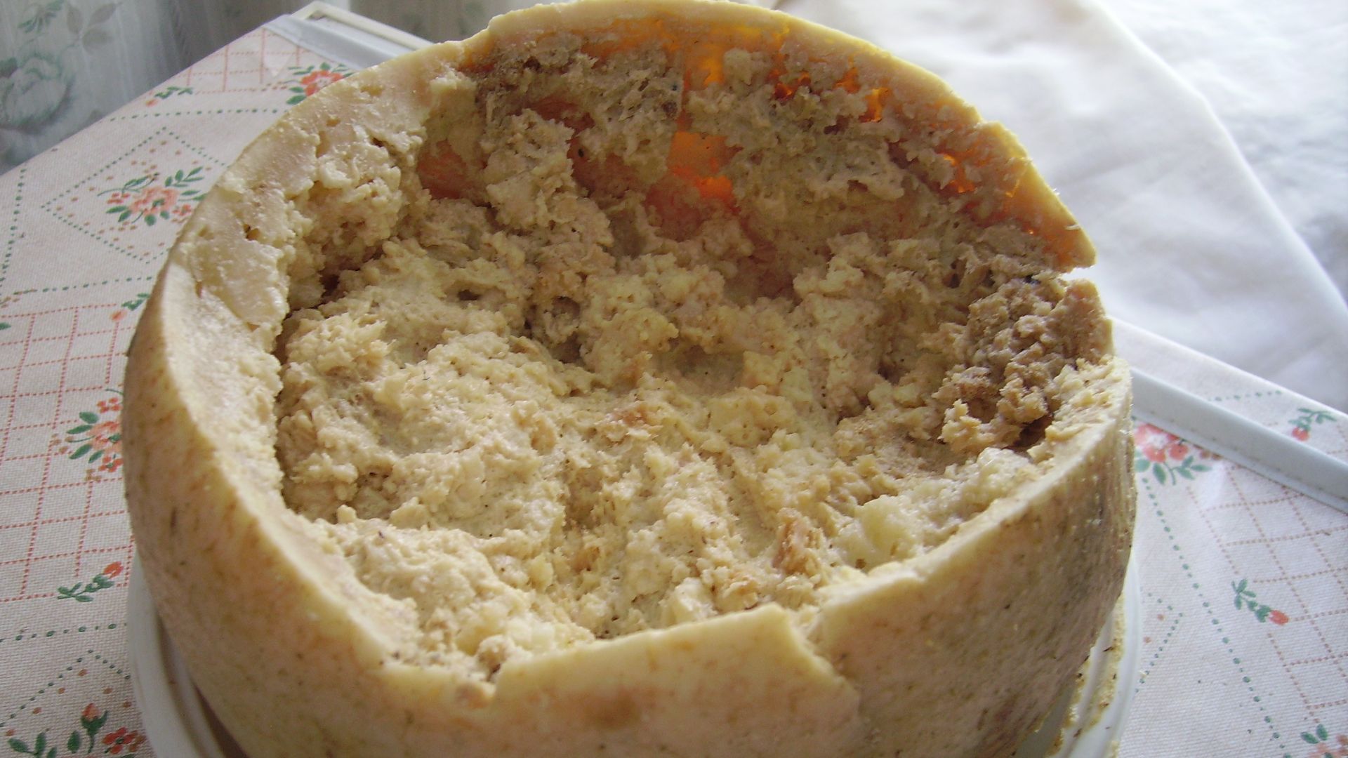 File:Casu Marzu cheese.jpg