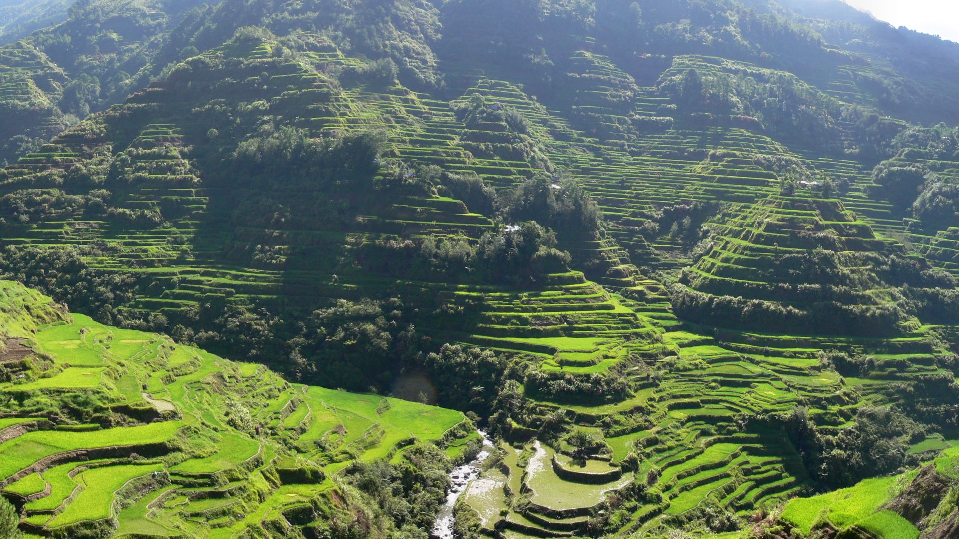 File:Pana Banaue Rice Terraces (Cropped).jpg