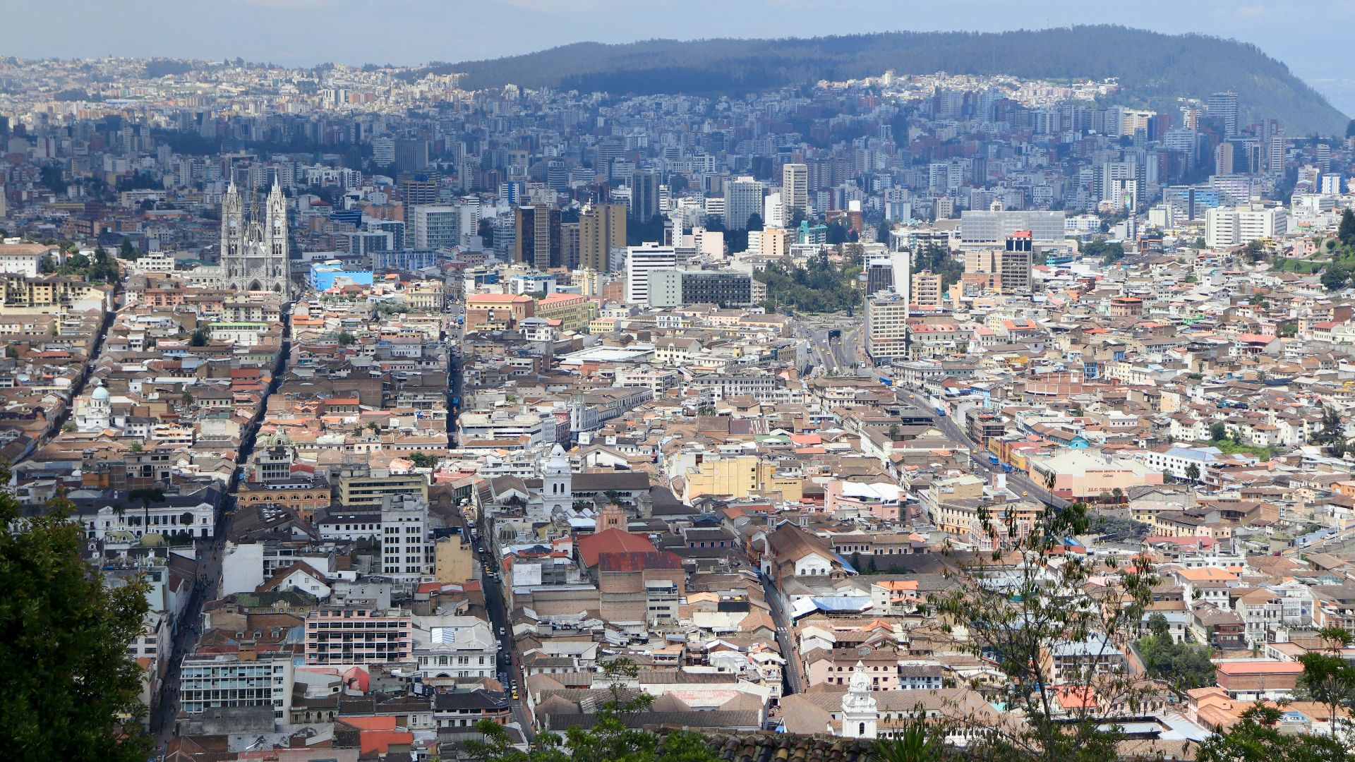 aerial view of city during daytime