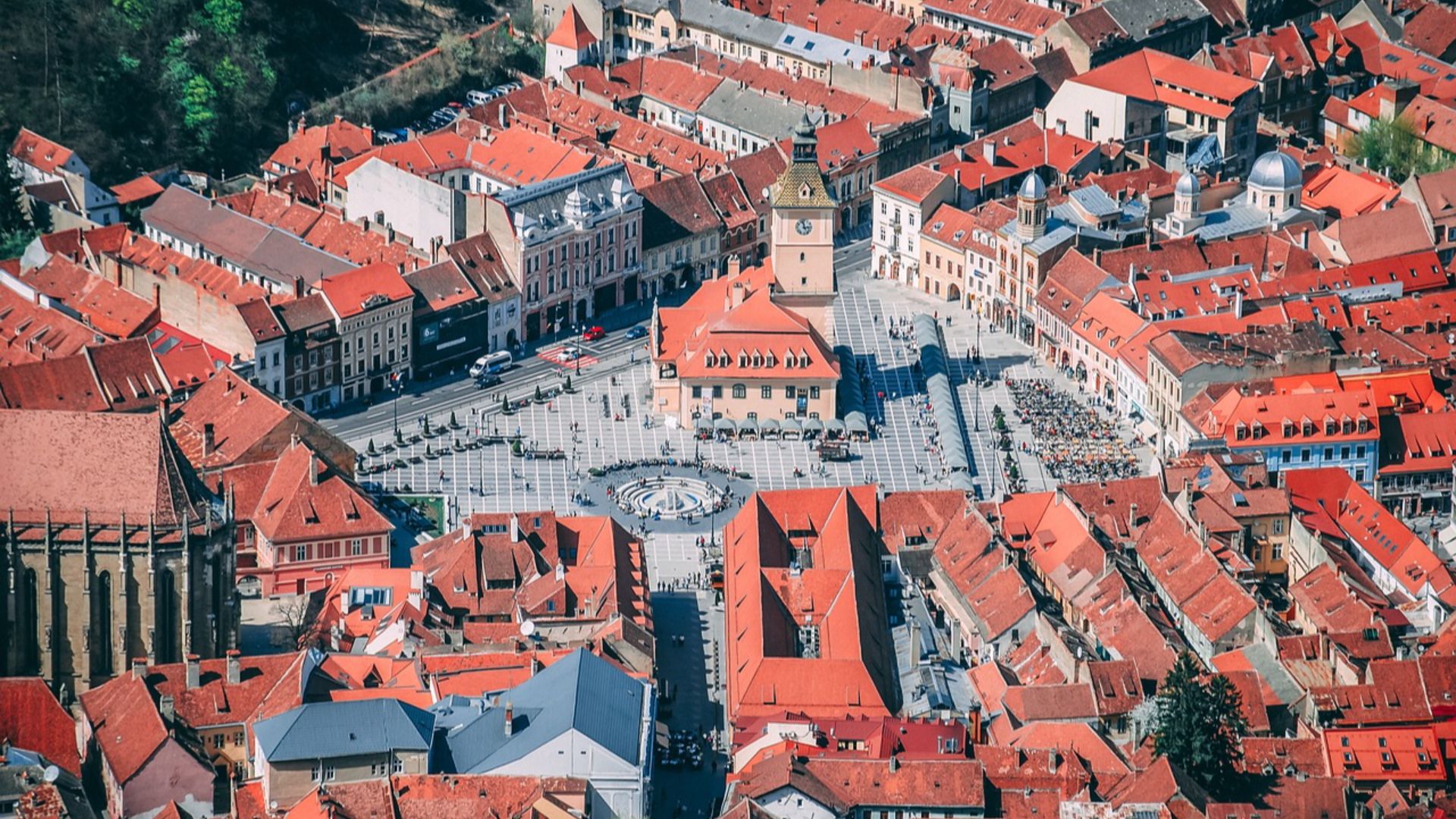 dnovac
