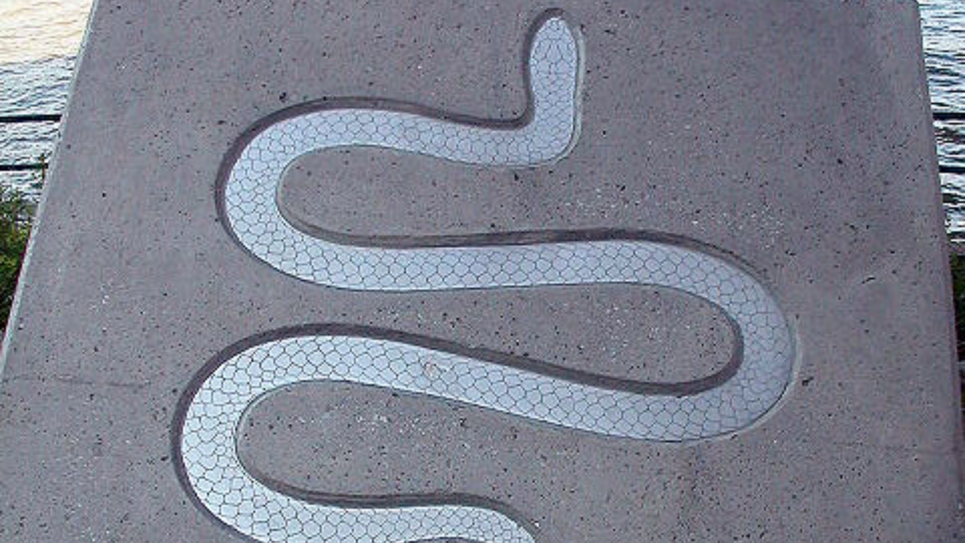 File:SILVER SNAKE (370087582).jpg