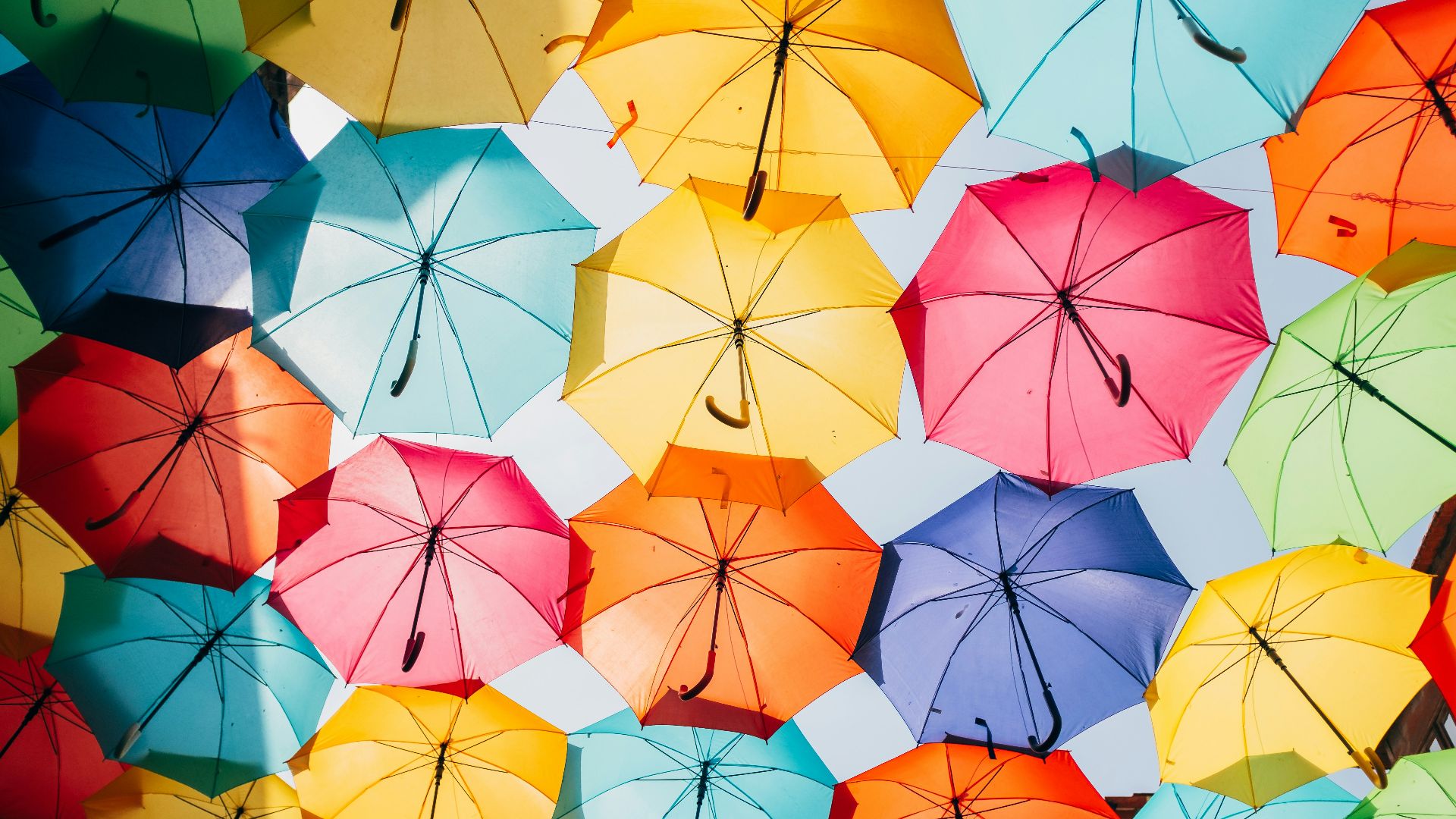 assorted-color opened umbrellas