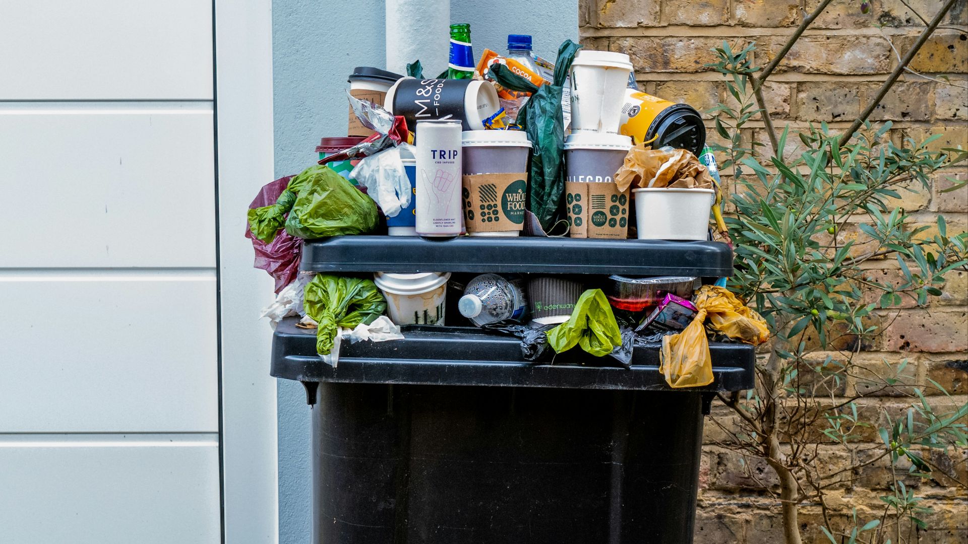 black trash bin with green leaves