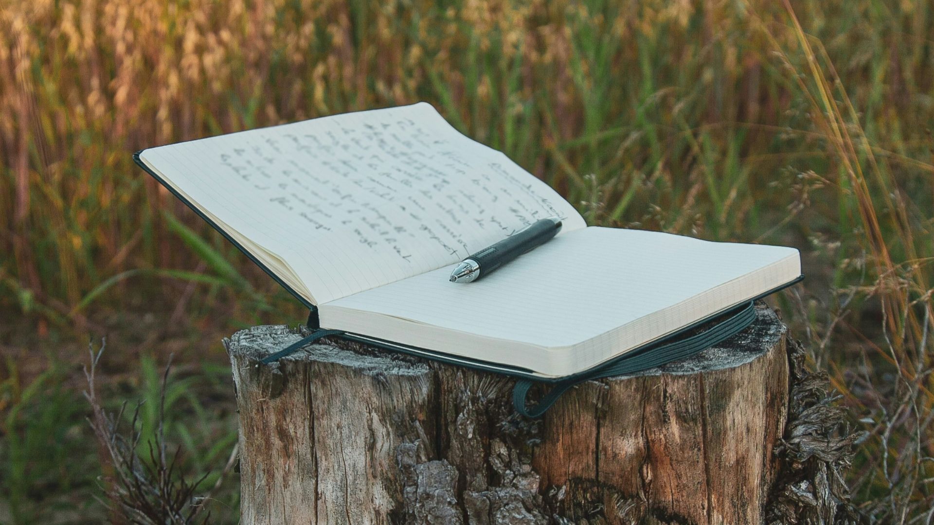 white book on brown wood log