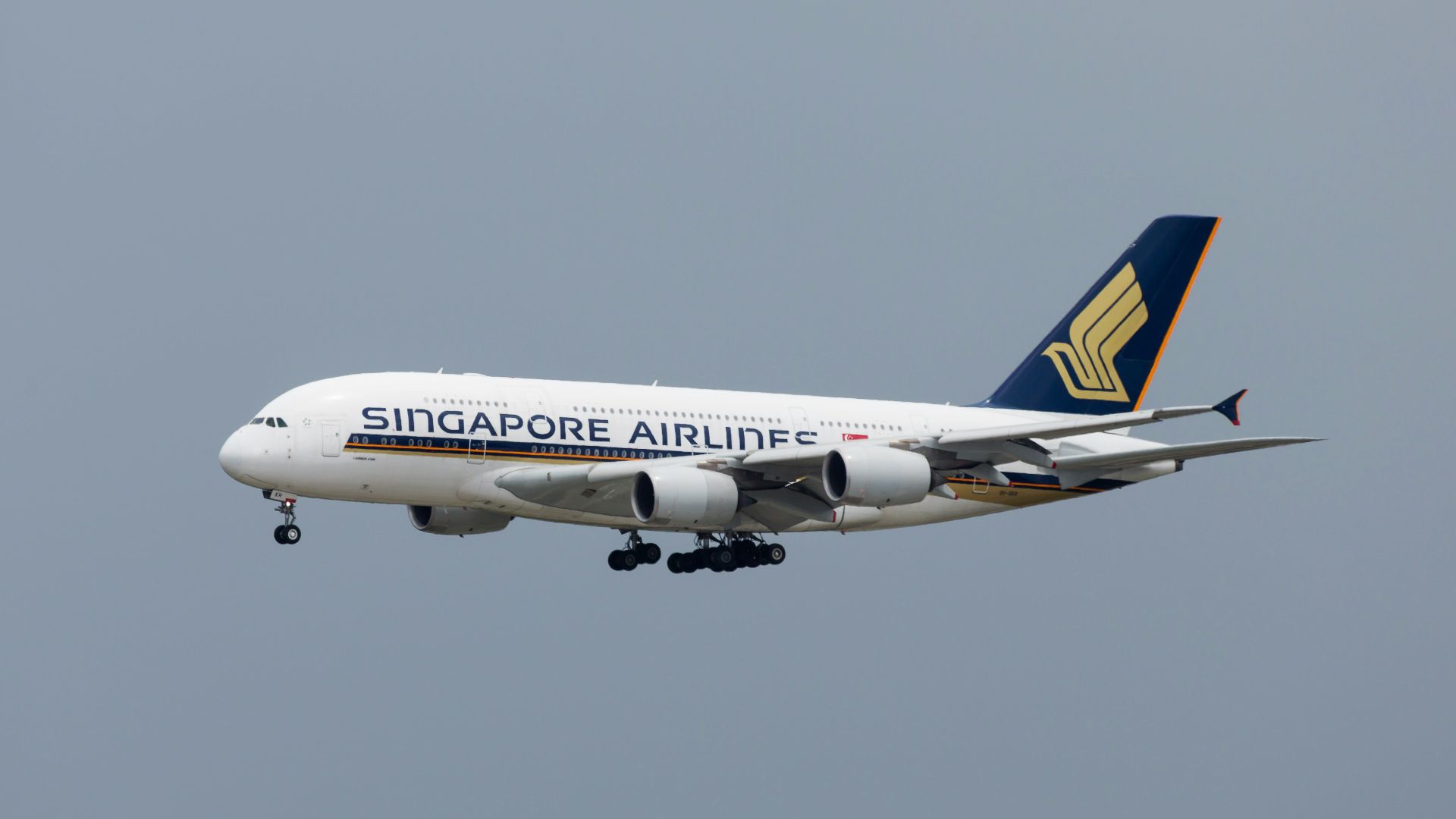 Singapore Airliner