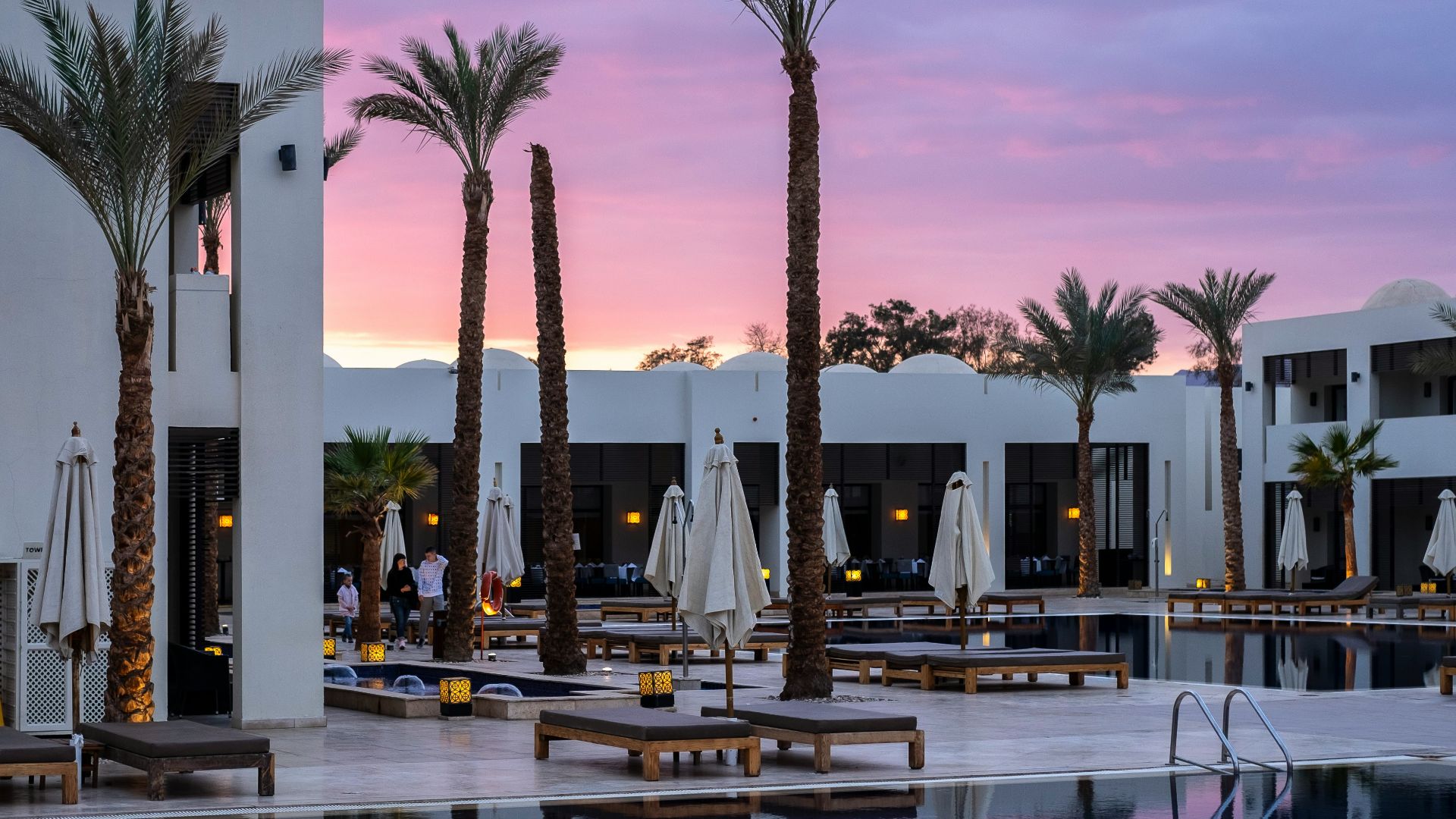 a large swimming pool surrounded by palm trees