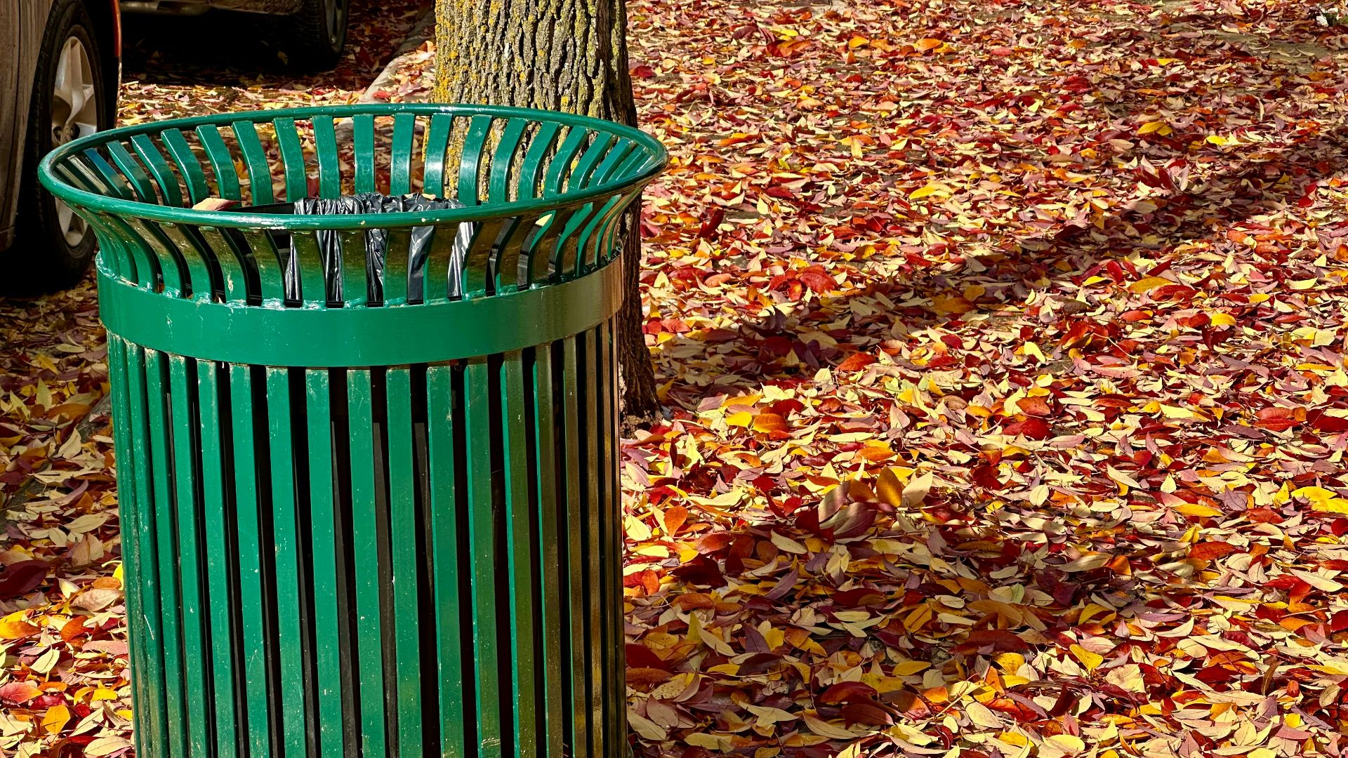 a green trash can sitting next to a tree