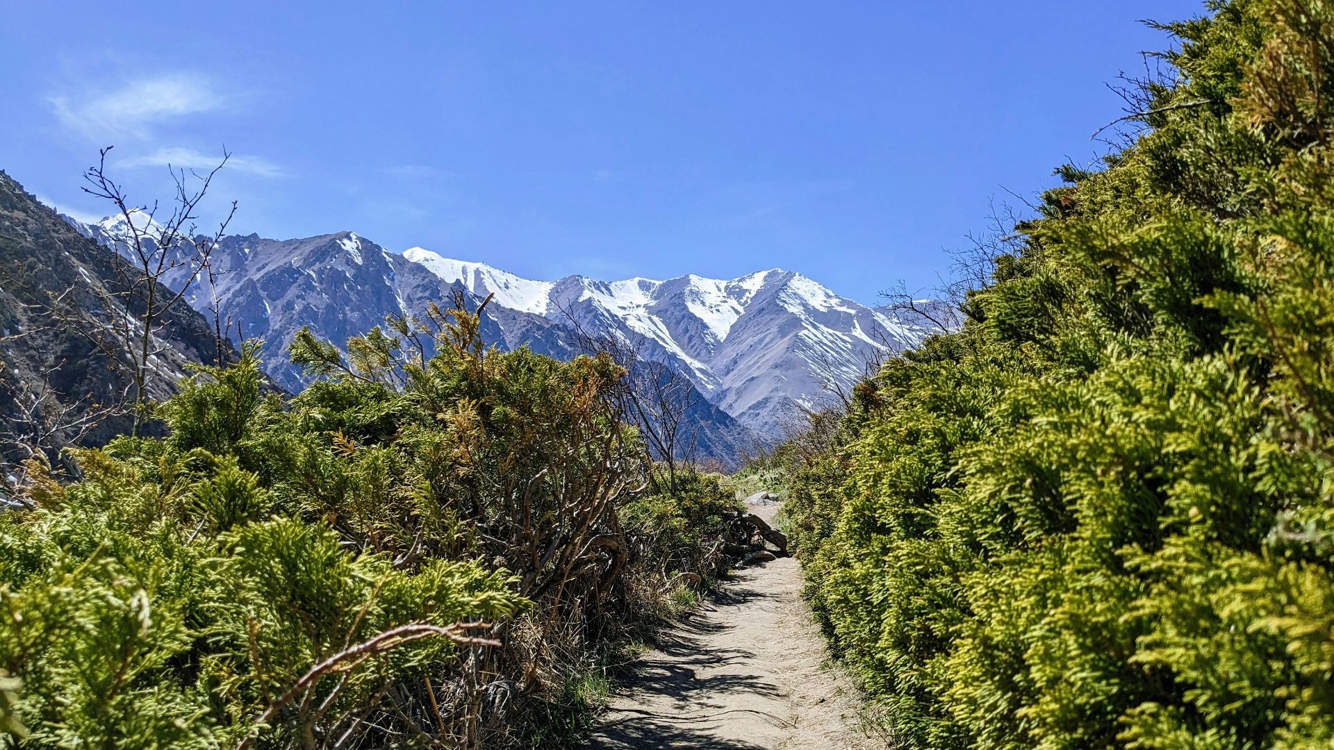 a trail in the mountains with snow capped mountains in the background