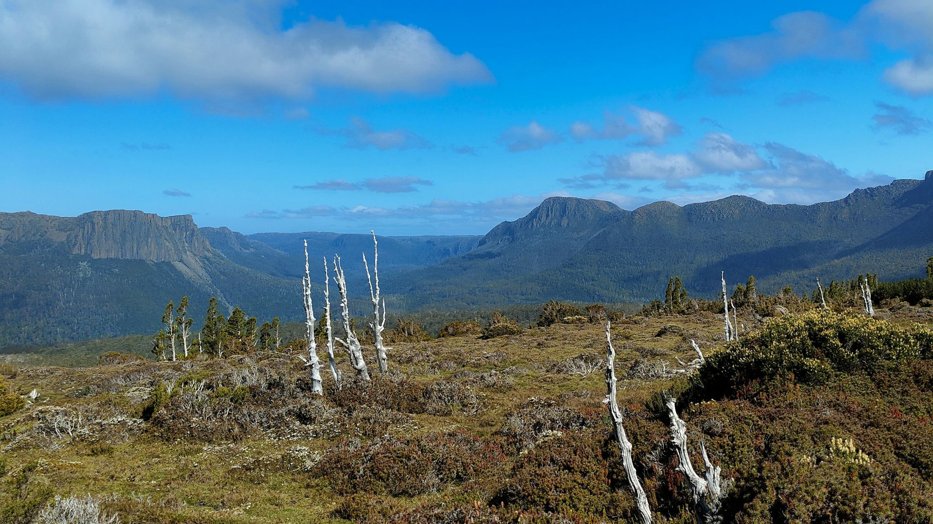 a view of a mountain range from a grassy area