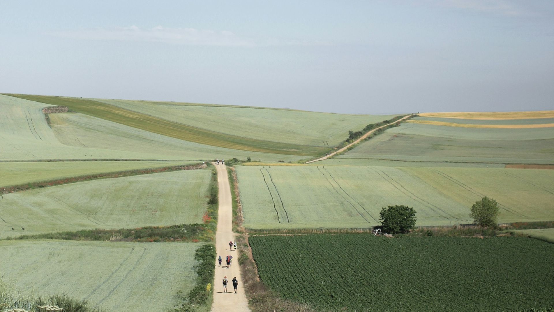 people on road