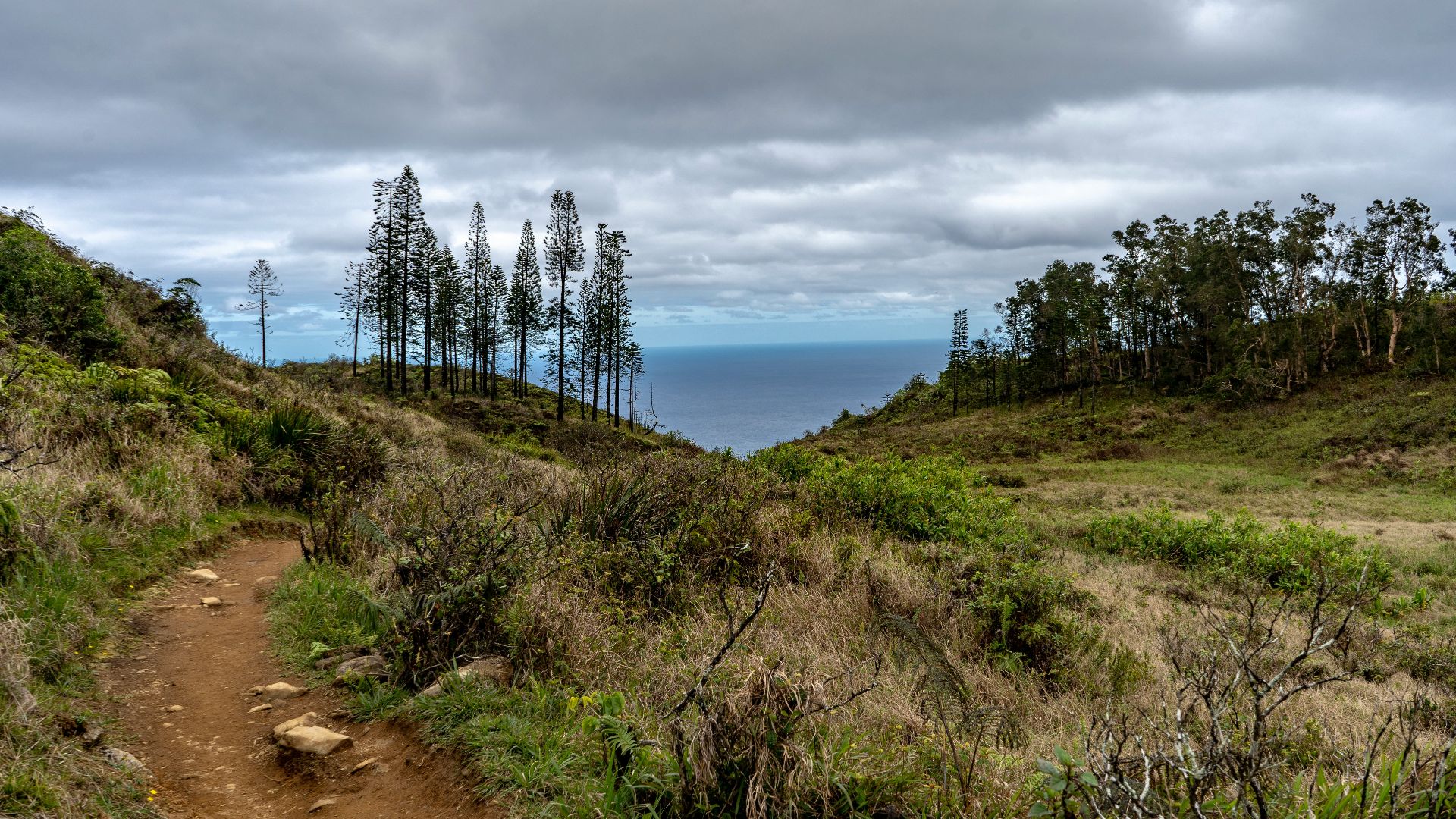 green grass mountain under cloudy sky