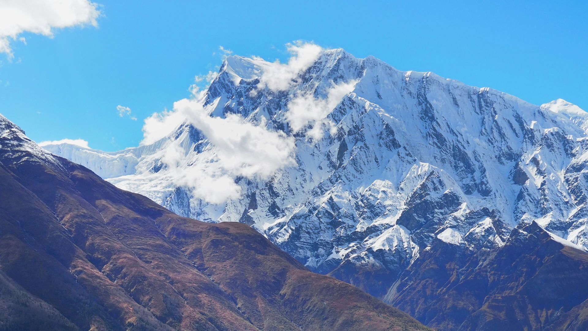 a view of a valley with a mountain in the background