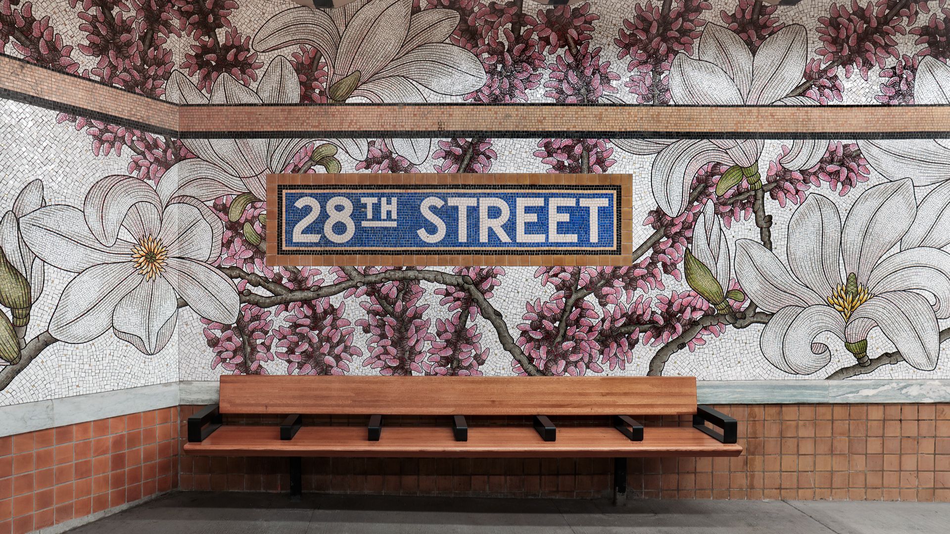 File:Blum Magnolias.jpg