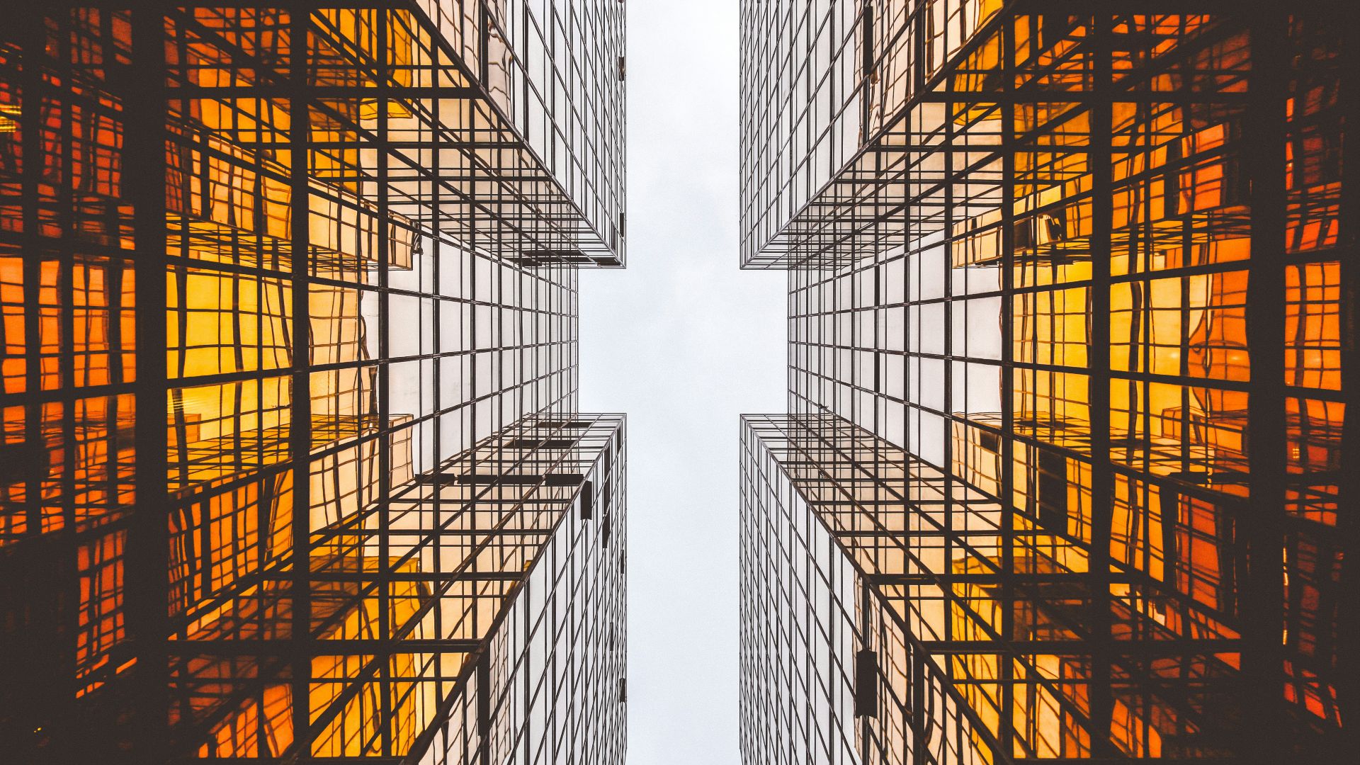 worms eye view of buildings