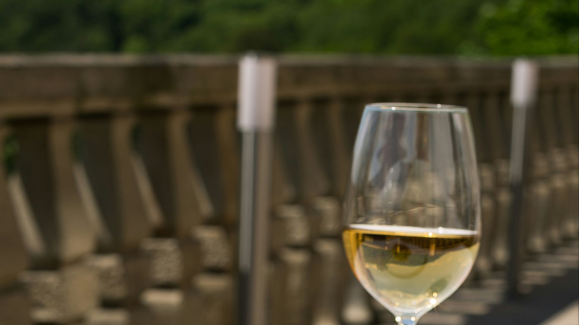 cooked food on white ceramic plate beside glass of champagne