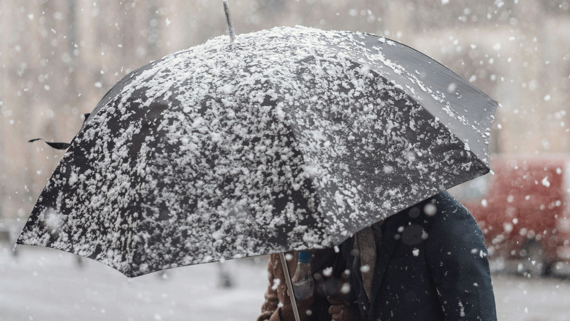 person holding black umbrella
