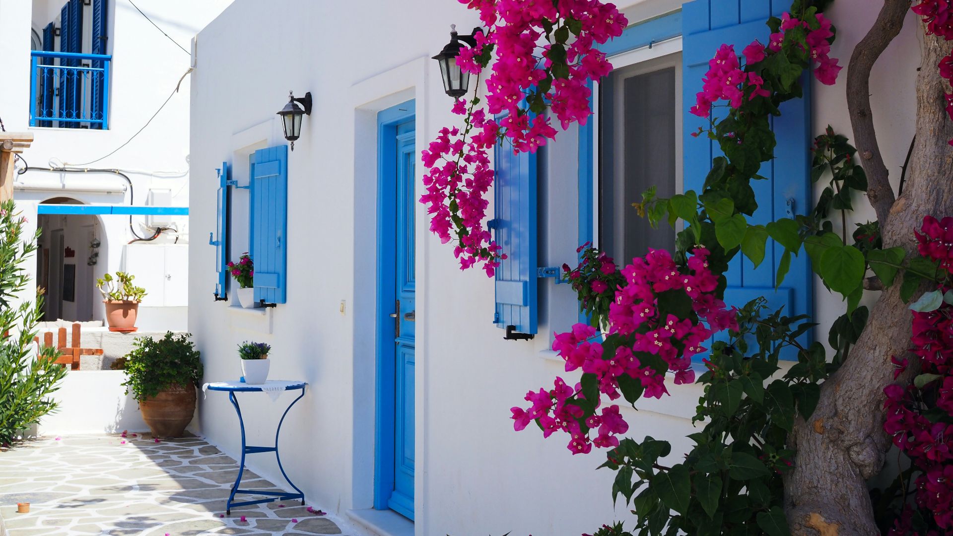 pink and white flower tree near blue and white concrete house during daytime