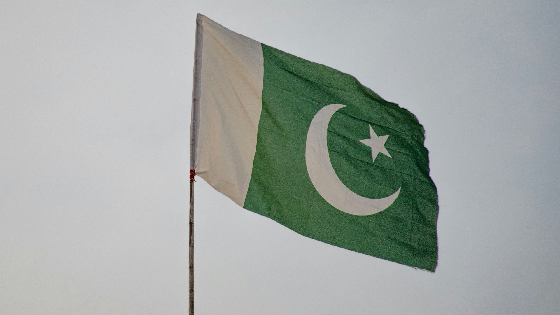 green and white flag under white sky during daytime