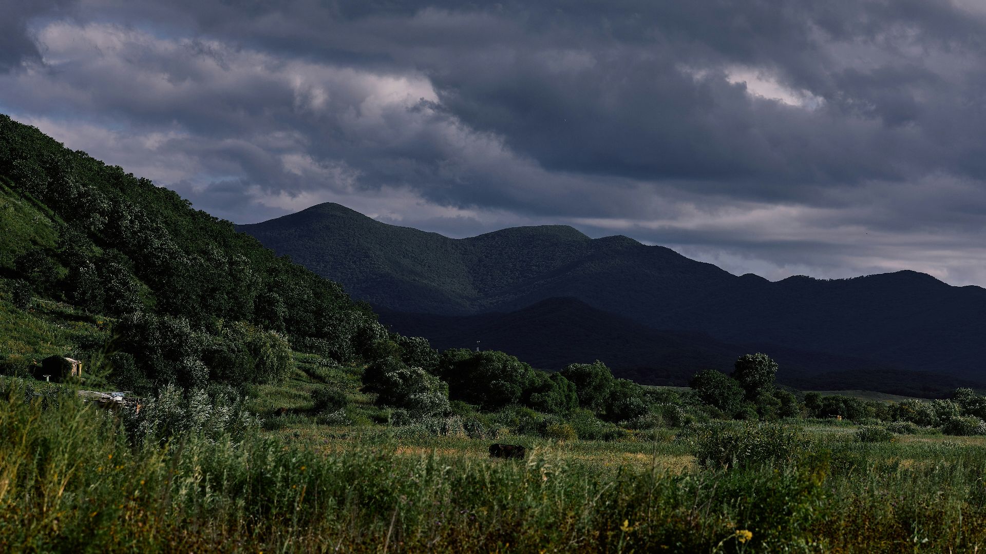 green grass field near mountain under cloudy sky during daytime