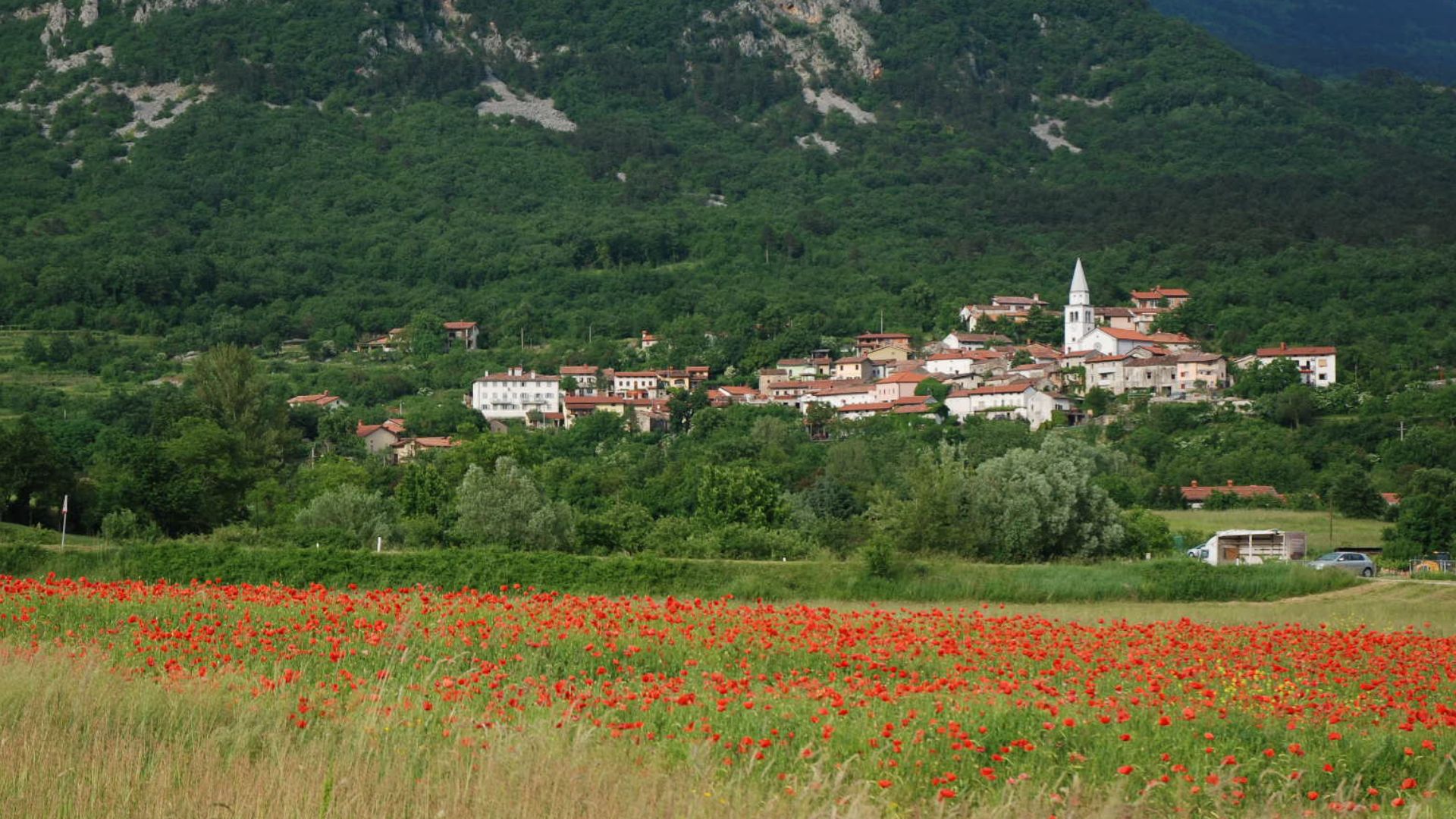 File:Osek (Slovenia, Vipava valley).jpg