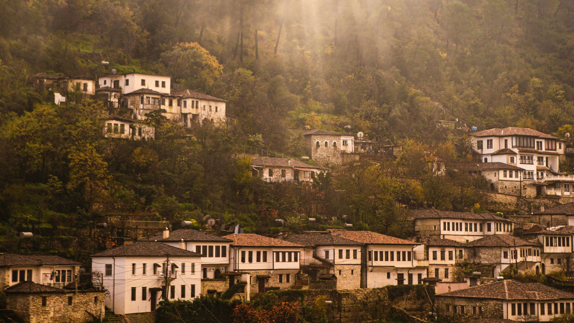 white and brown concrete house