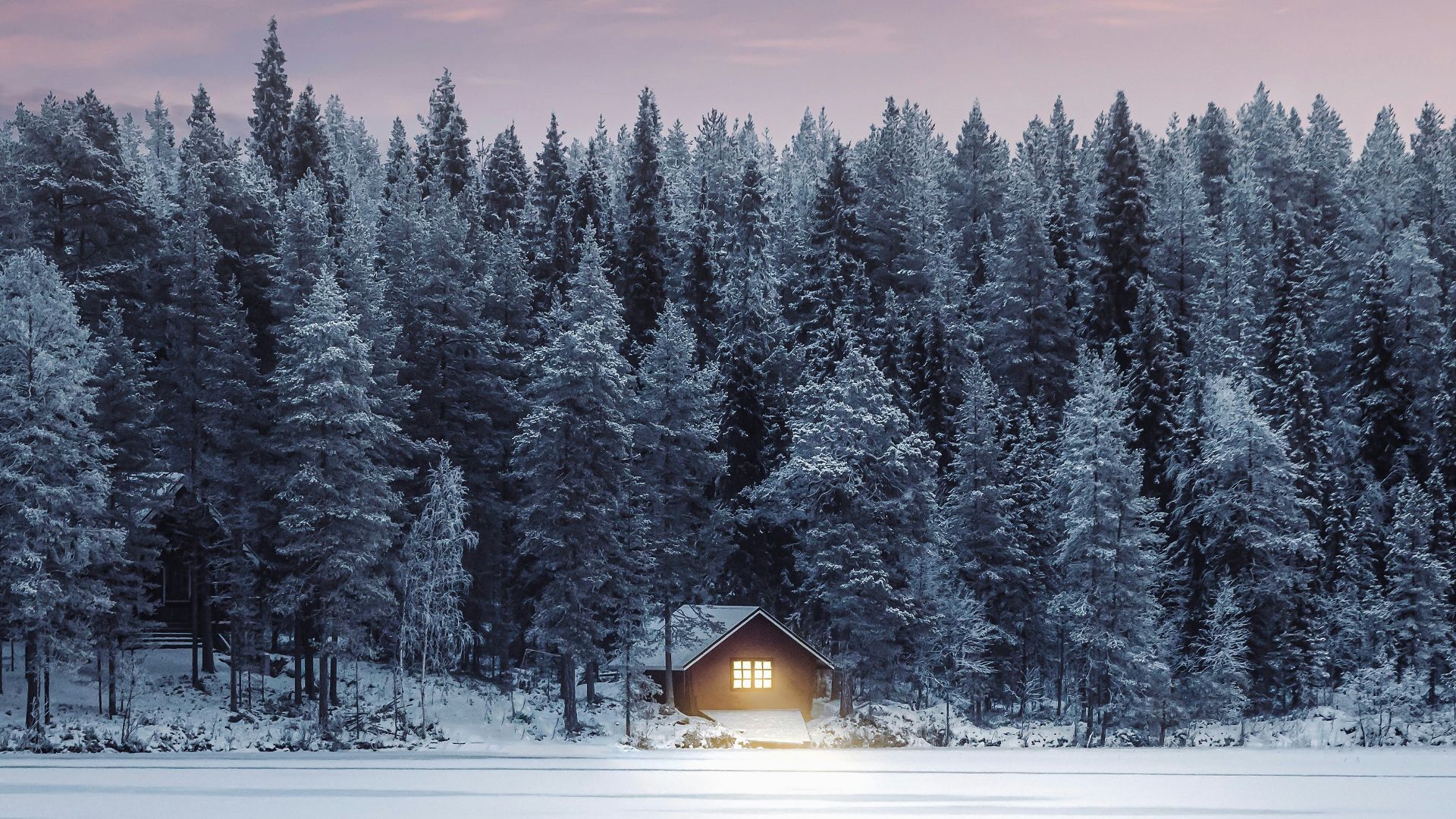 a cabin in the middle of a snowy forest