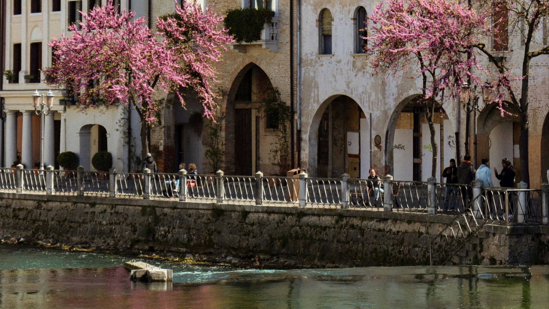 a body of water surrounded by buildings and trees