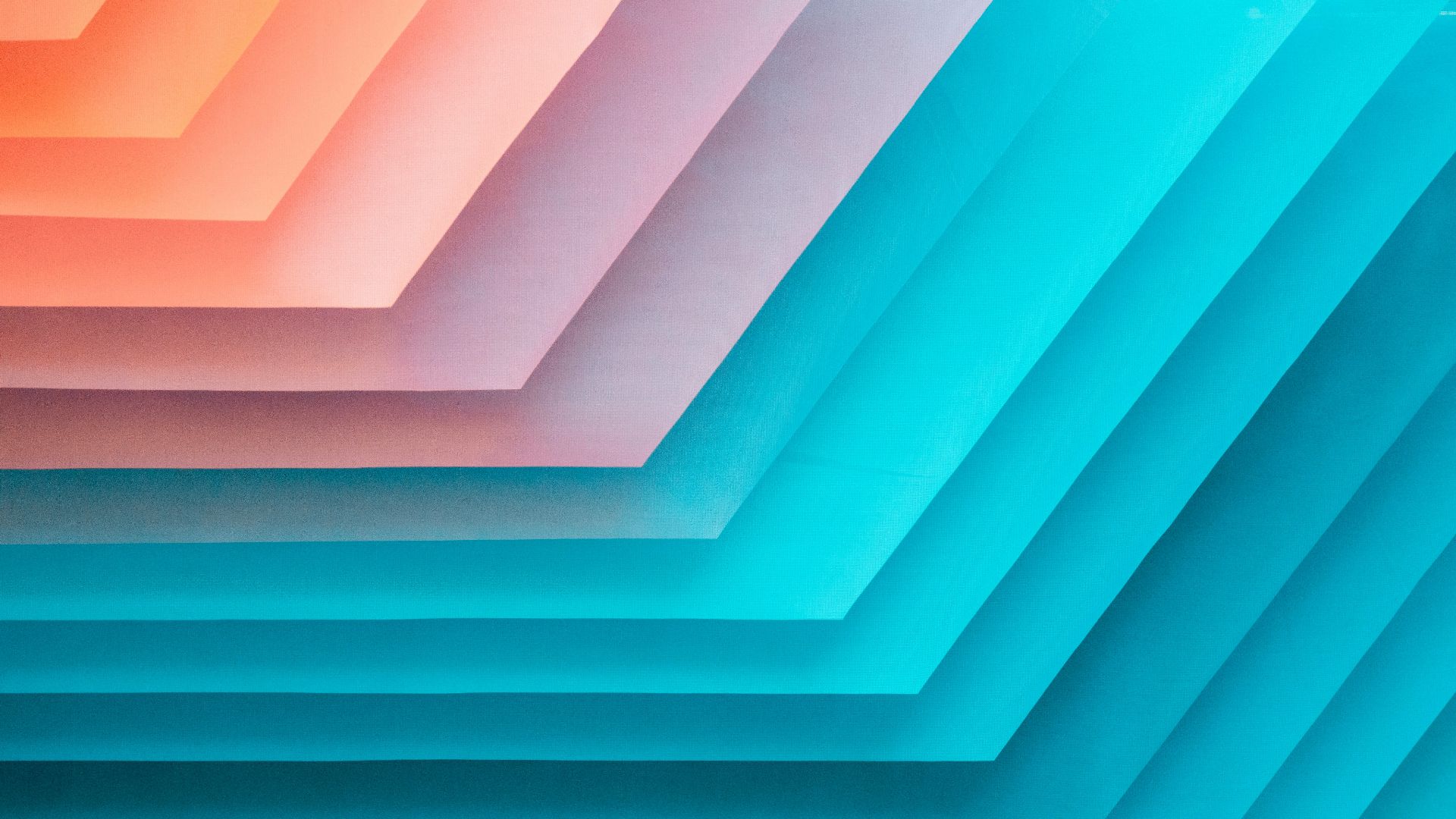 orange, pink, and teal illustration