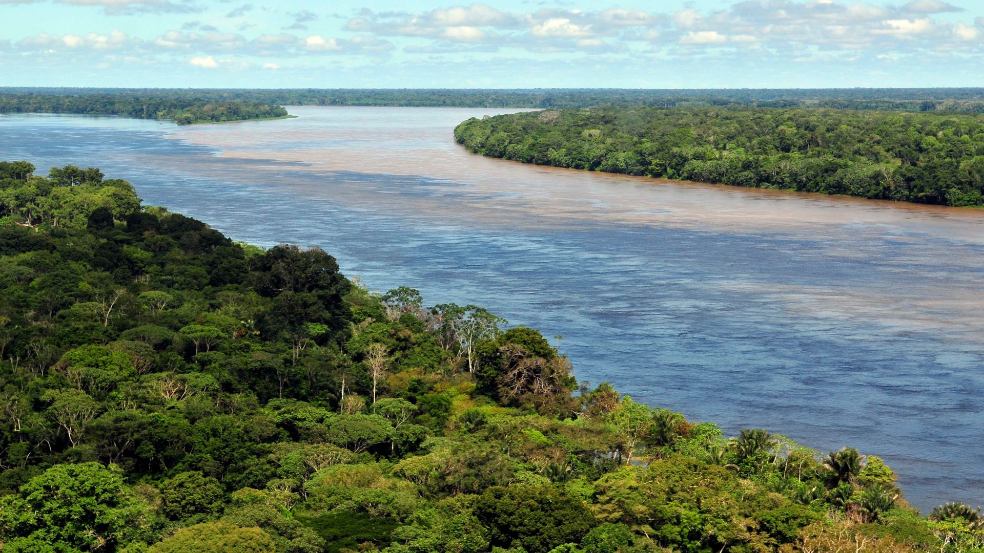 File:Amazon CIAT (2).jpg