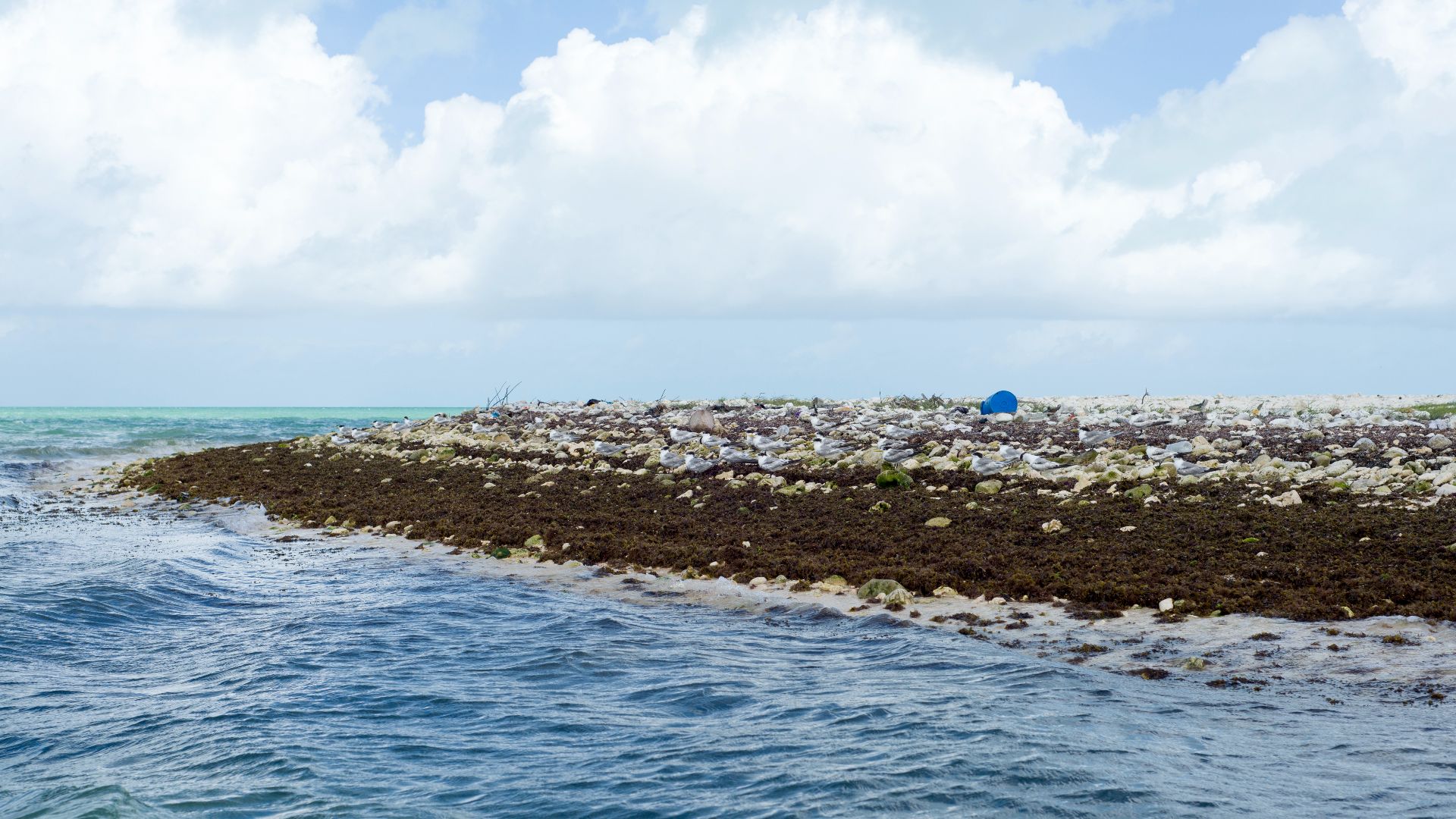 File:Kiritimati - Christmas Island (14199542658).jpg