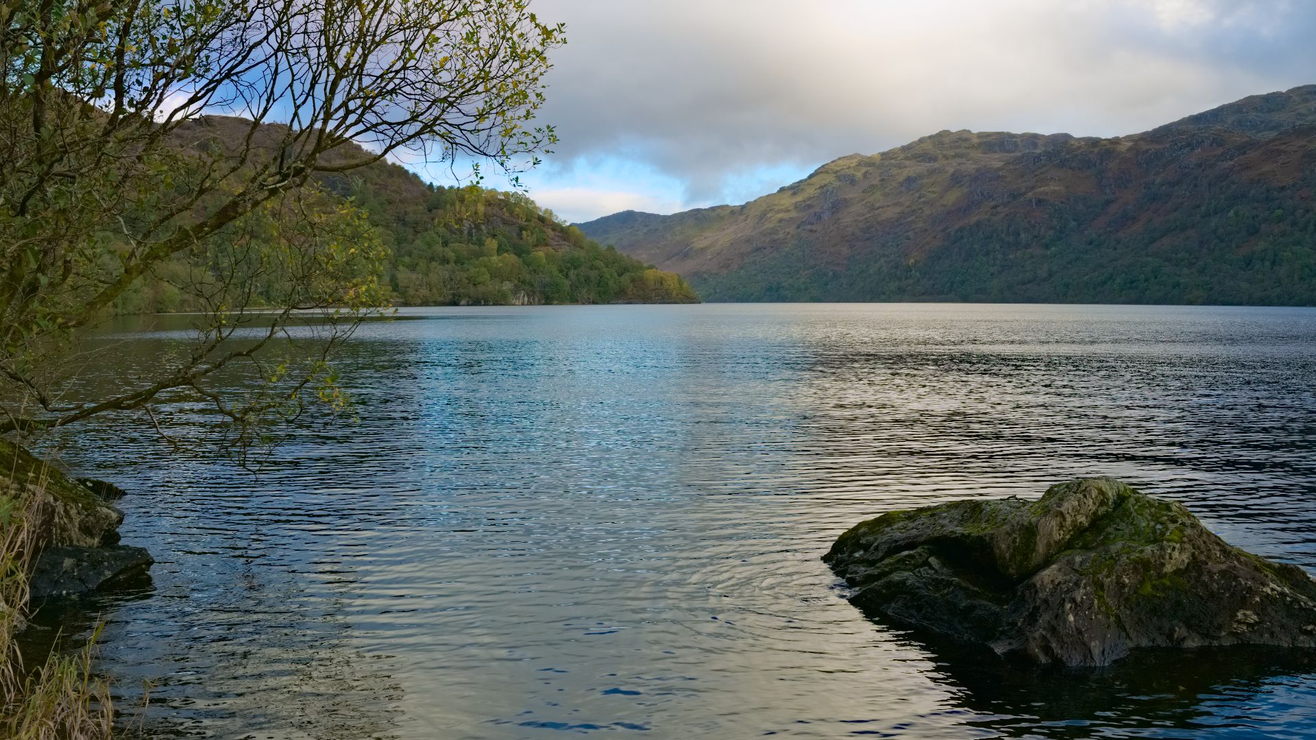 File:Loch Lomond rock 20211022.jpg