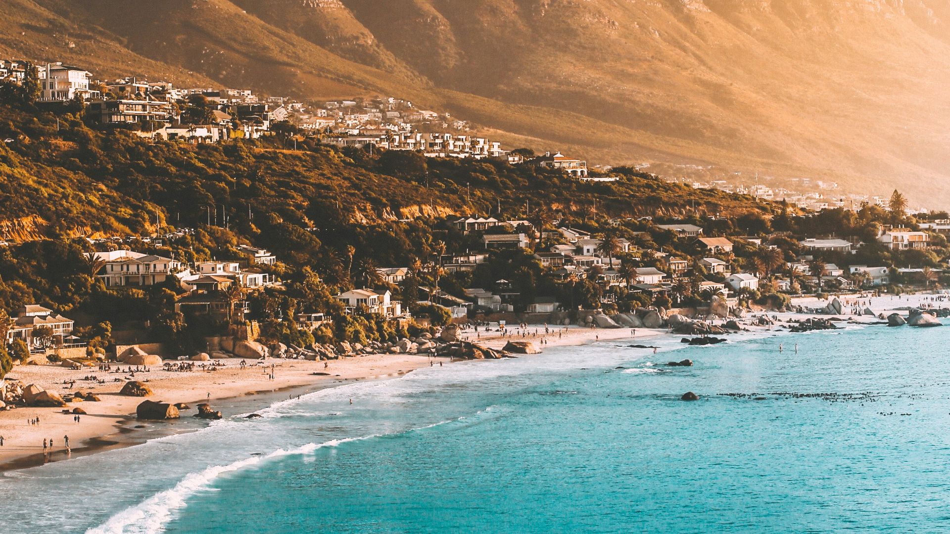 people on beach shore