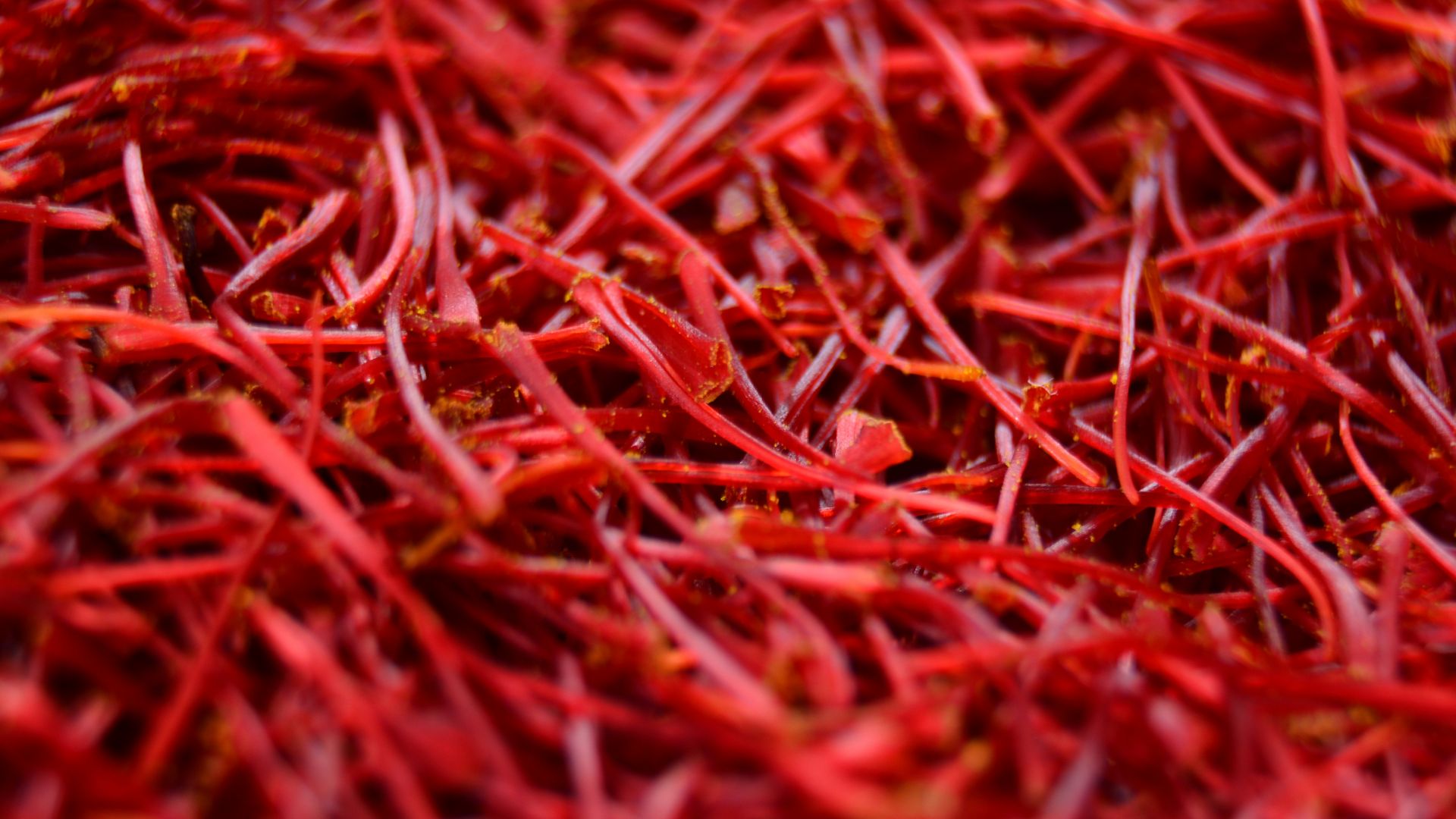 a close up of red hair