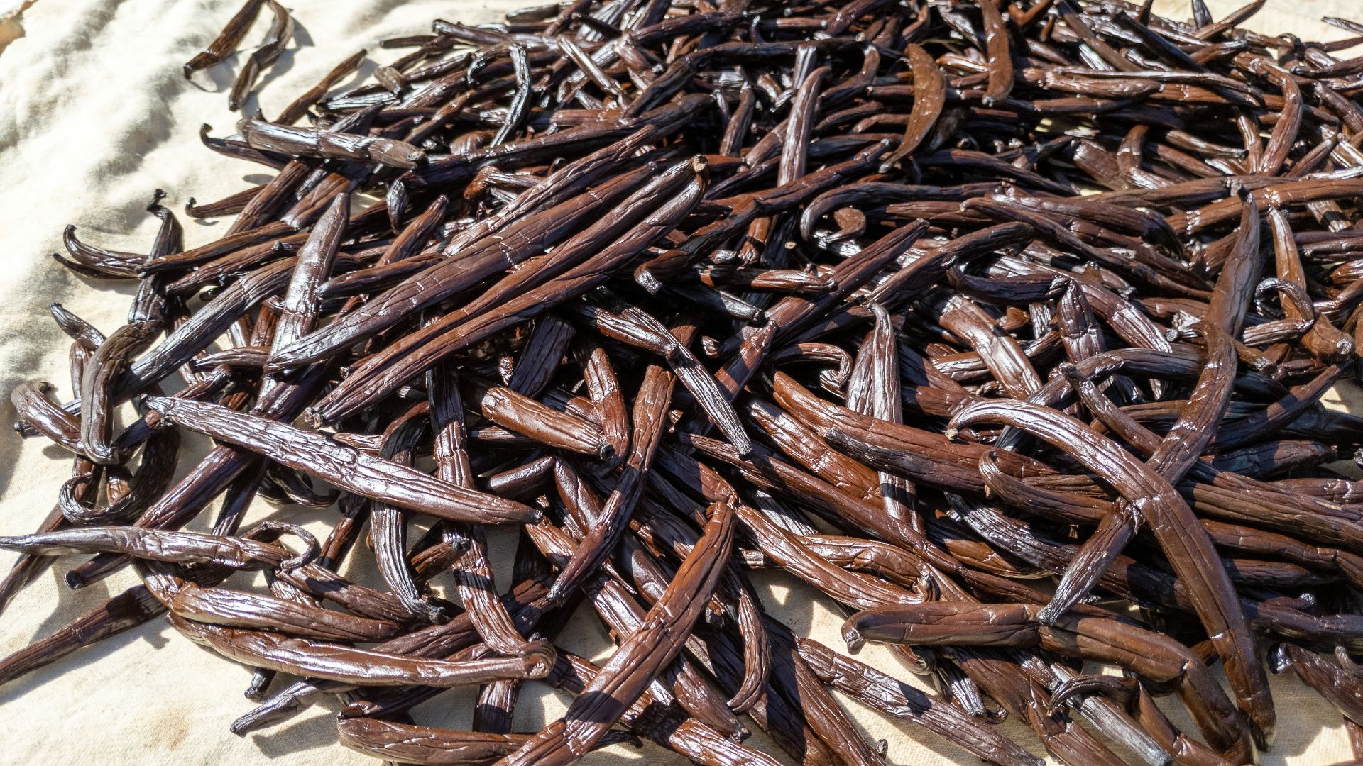 File:Tahiti, French Polynesia - Huahine (48076231771).jpg