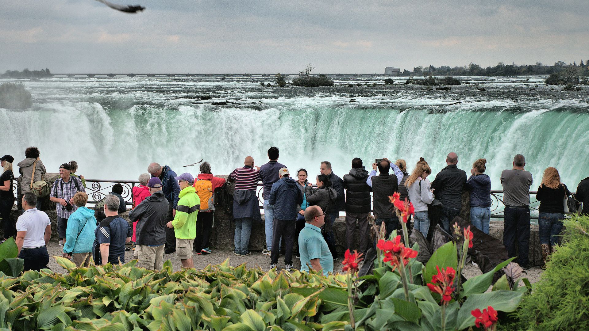 people taking picture of waterfalls under cloudy sky