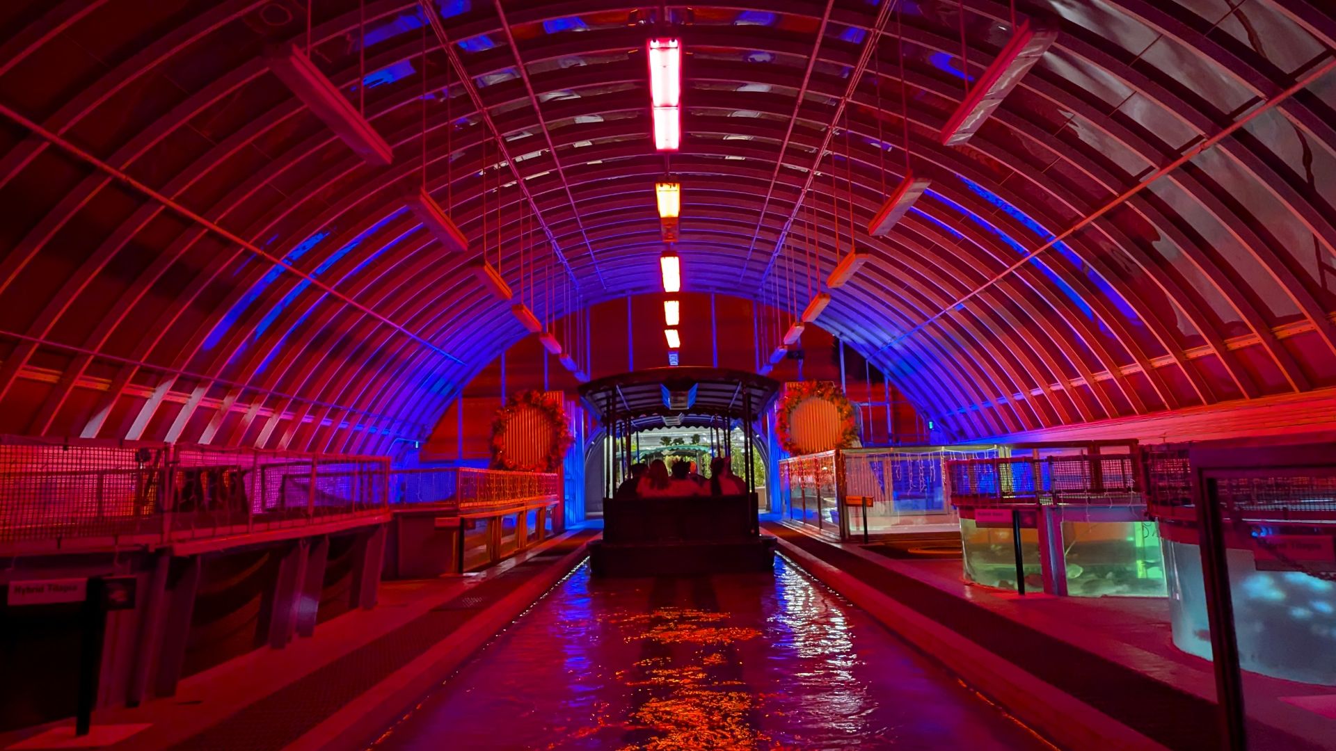 File:Epcot - 54163010227.jpg