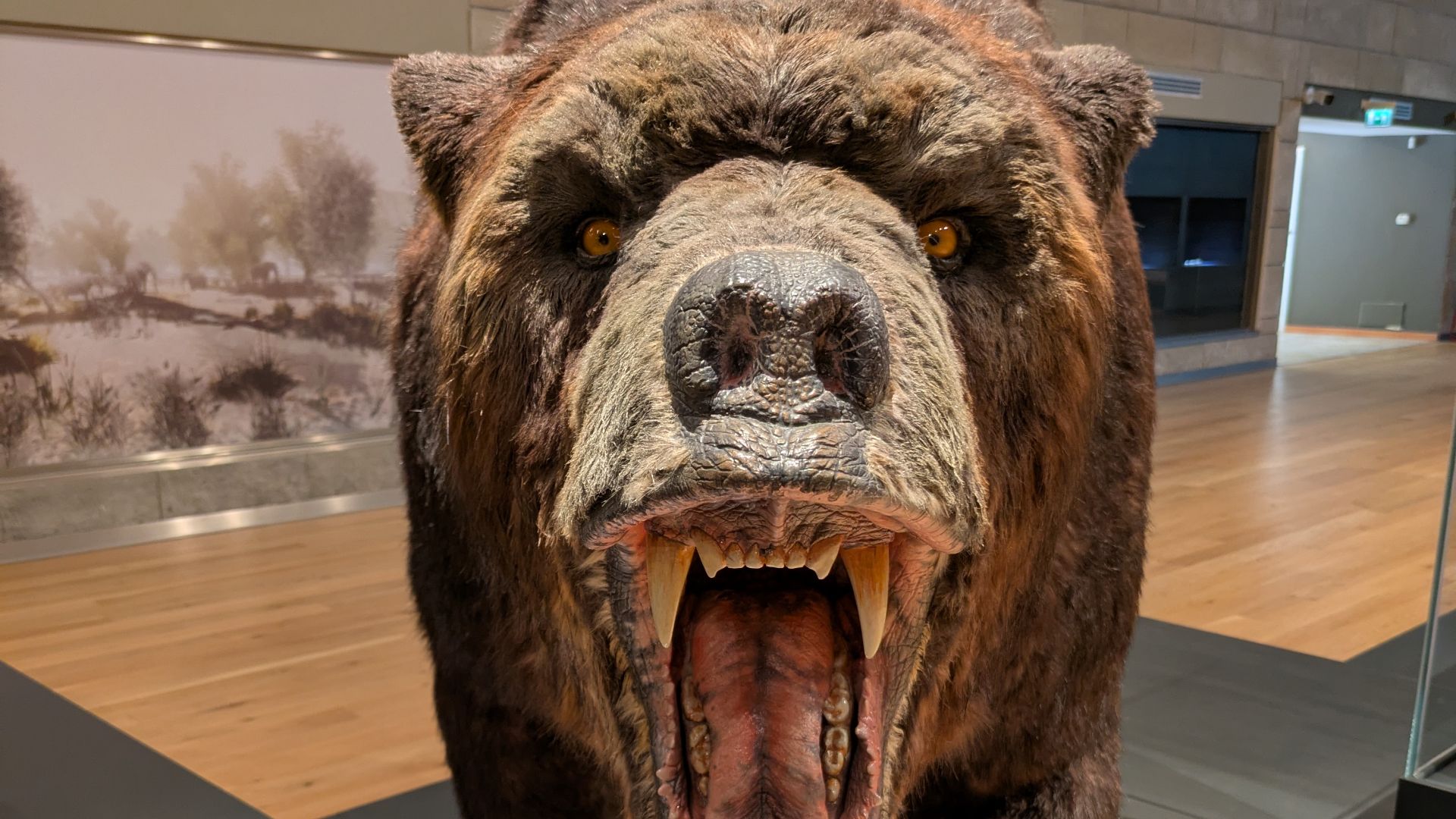 File:Museo nazionale del paleolitico di Isernia 24.jpg