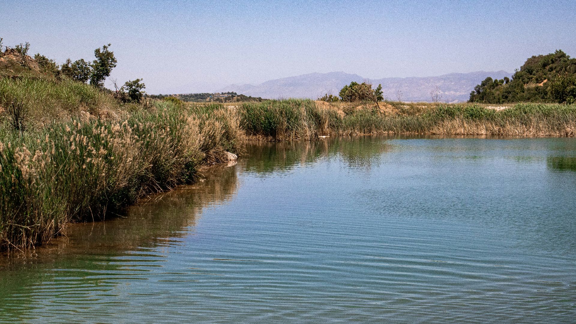 a body of water surrounded by grass and trees