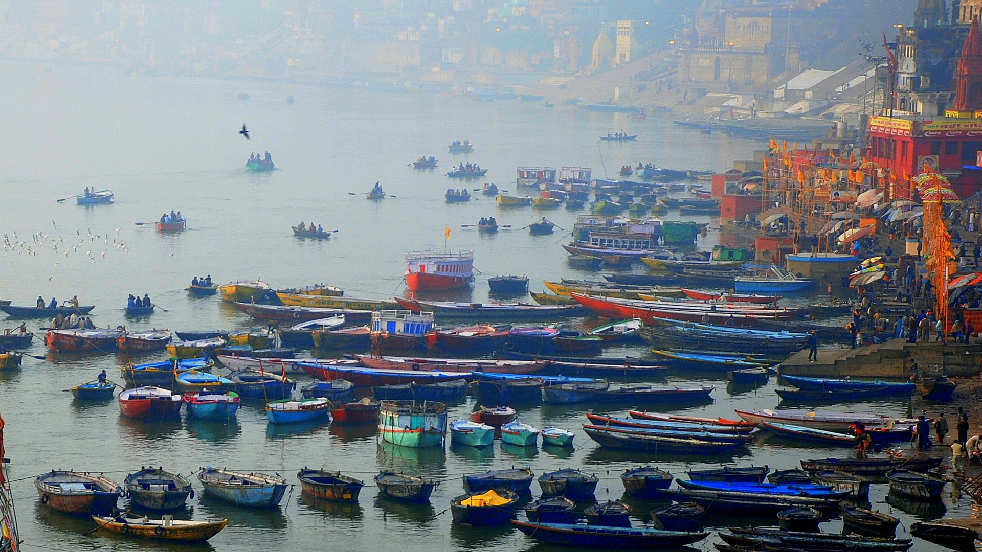 boats at the market