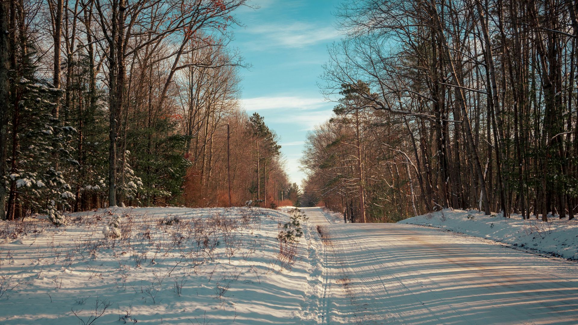 a snowy road with trees on either side of it