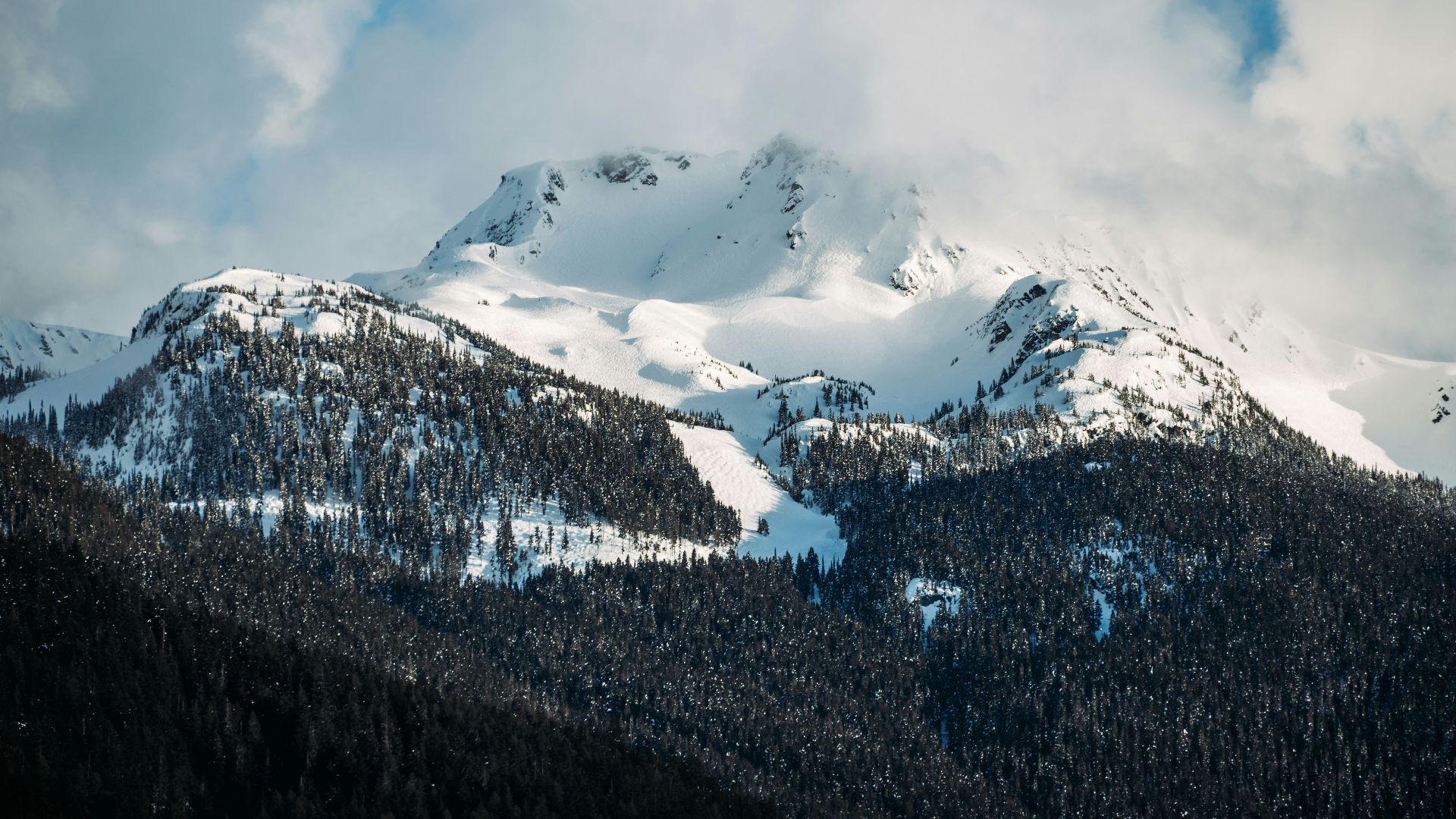 a mountain covered in snow and surrounded by trees