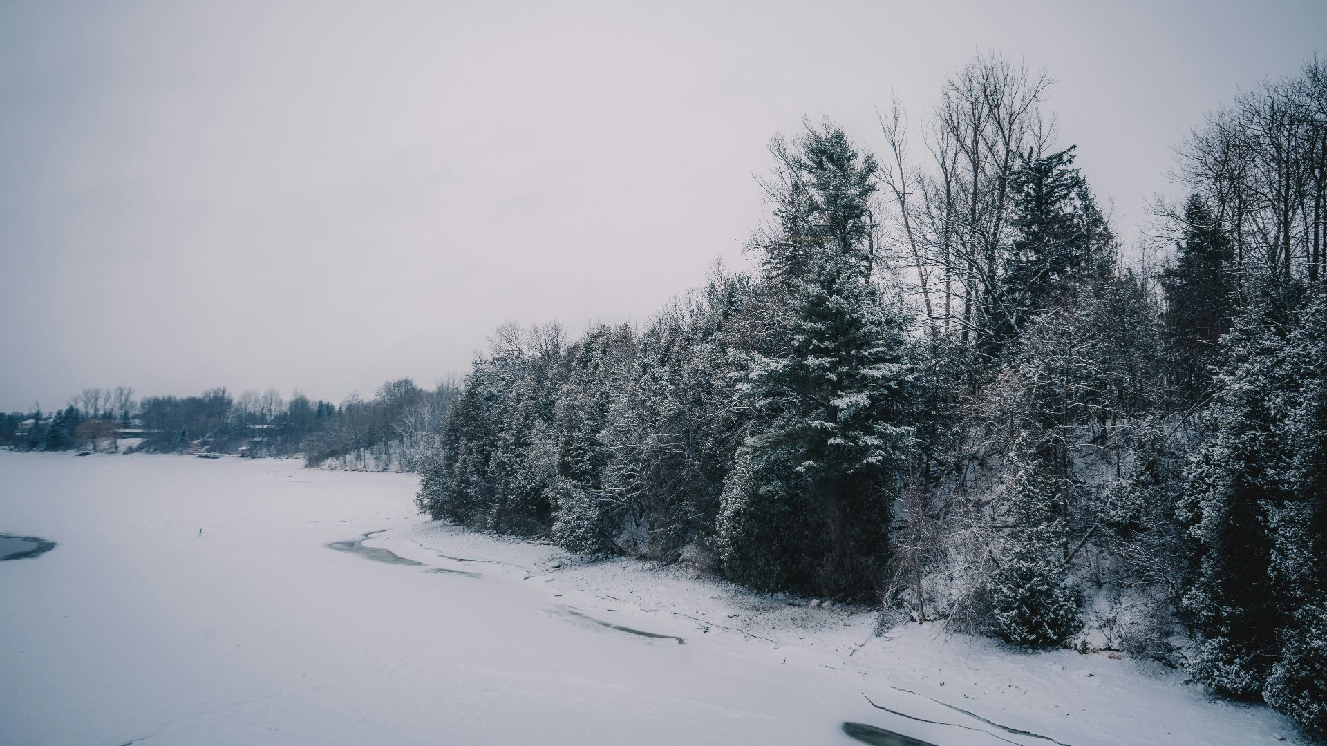 A snowy landscape with trees and a body of water
