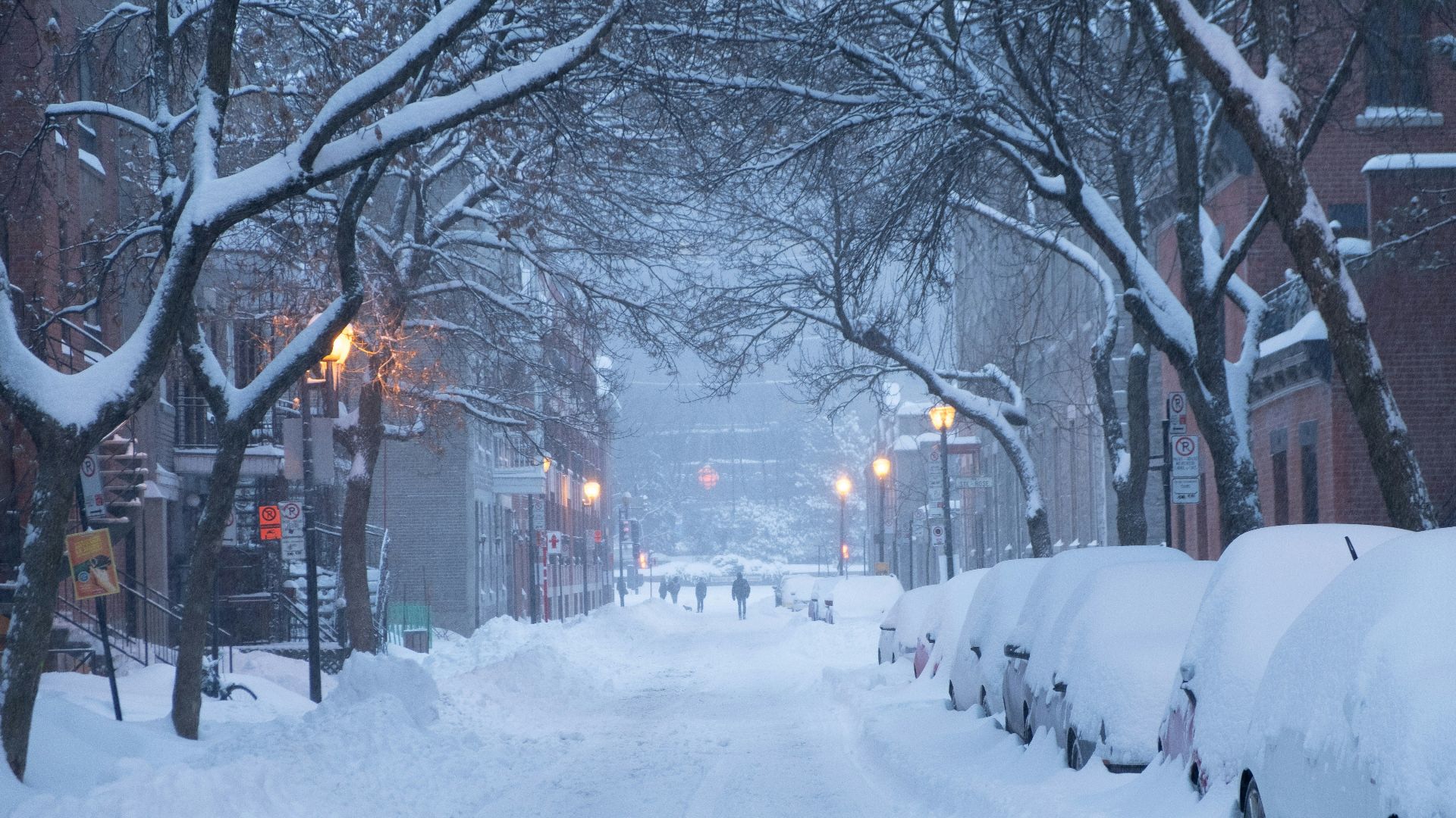 snow covers cars parked on road side