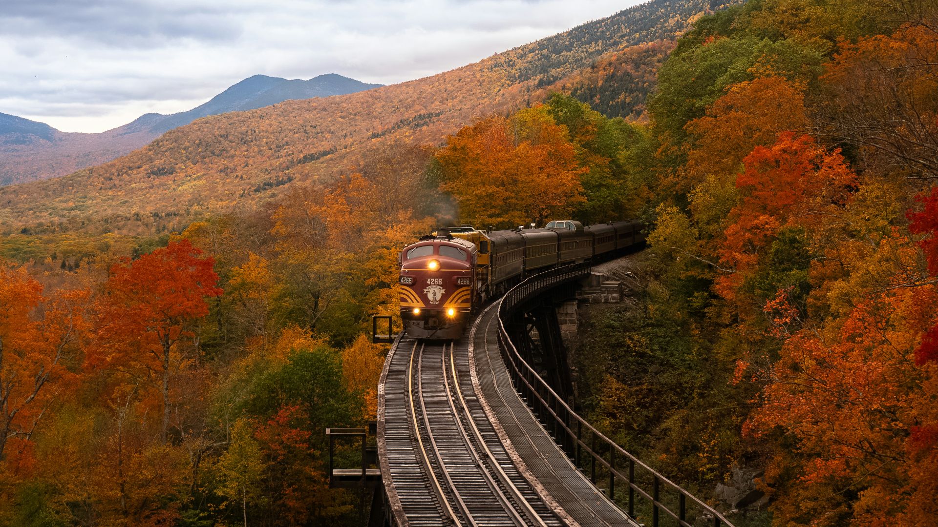 orange train between fall trees